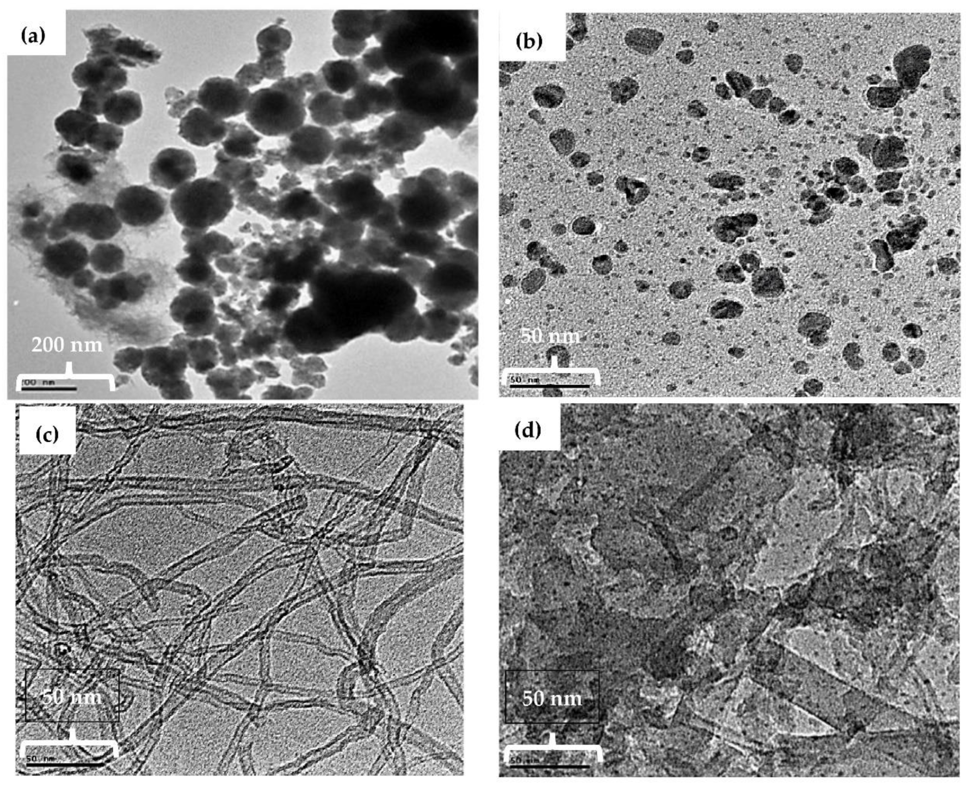 Nanomaterials 12 01876 g005