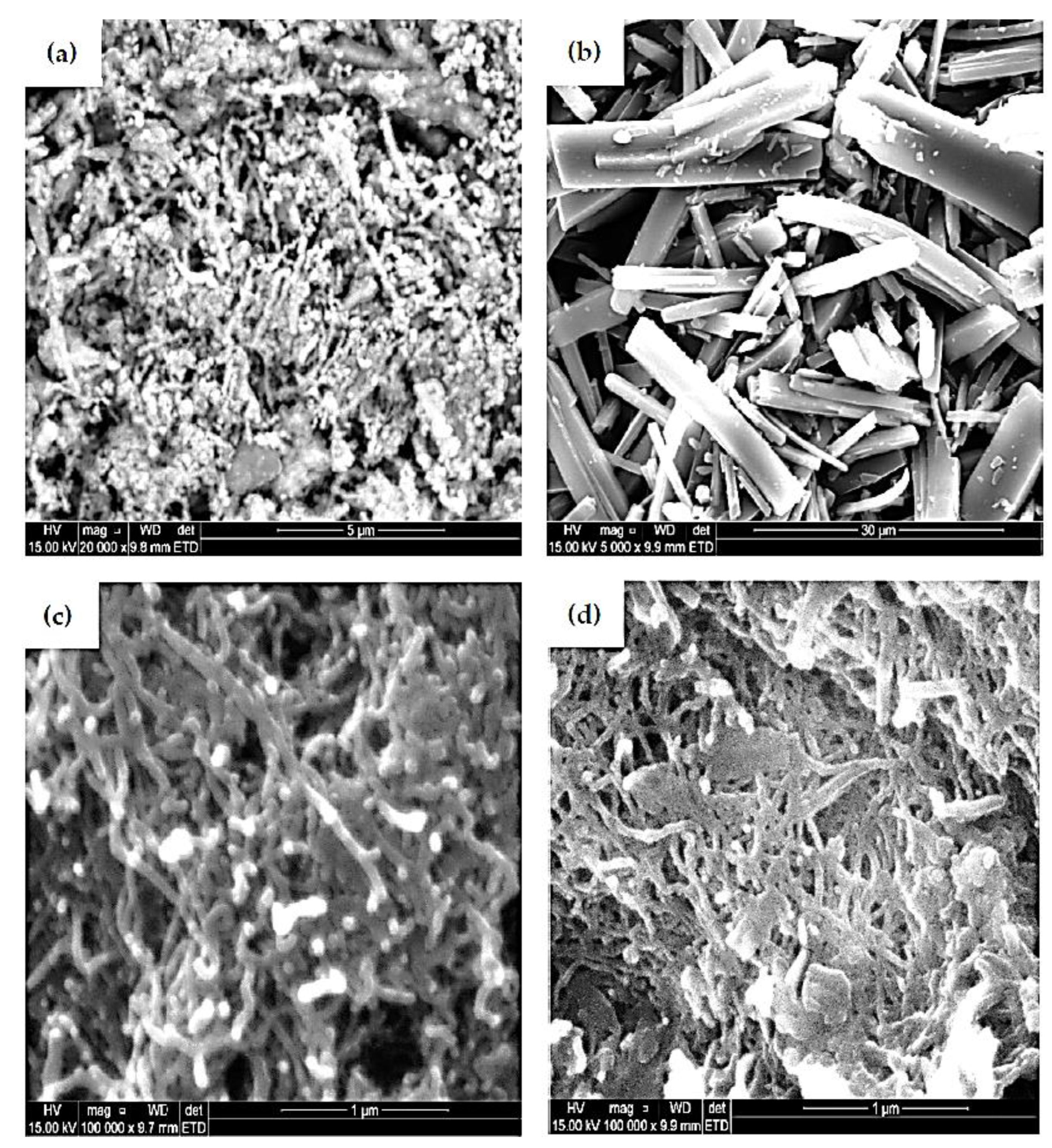 Nanomaterials 12 01876 g006