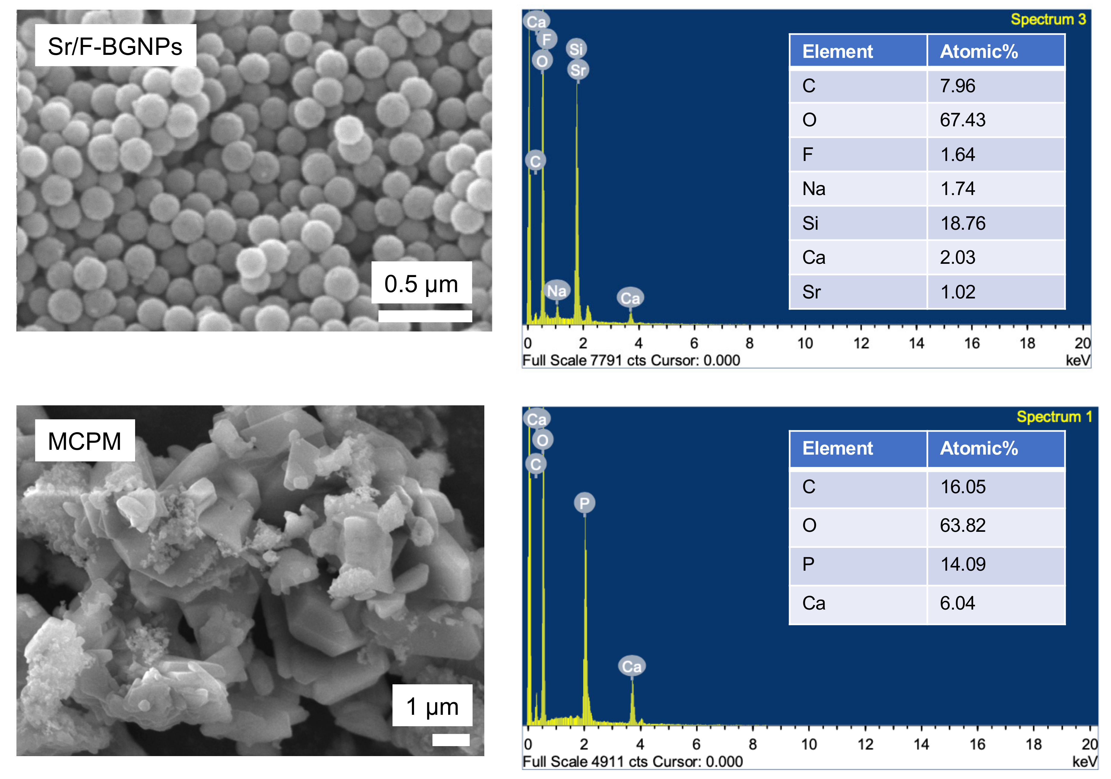 Nanomaterials 12 01897 g001