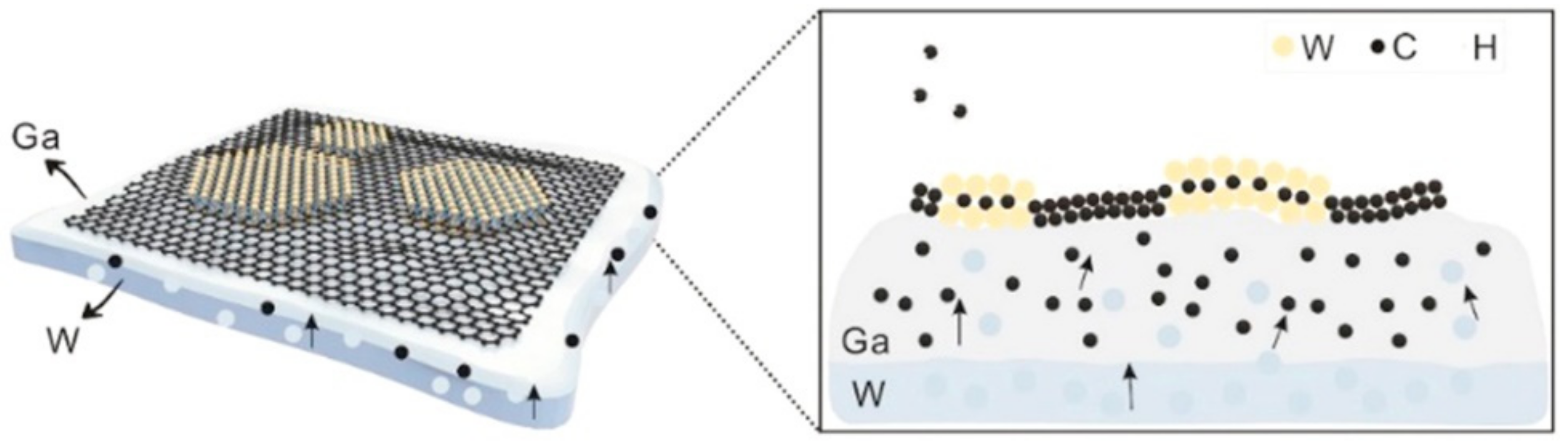Nanomaterials 12 01907 g003