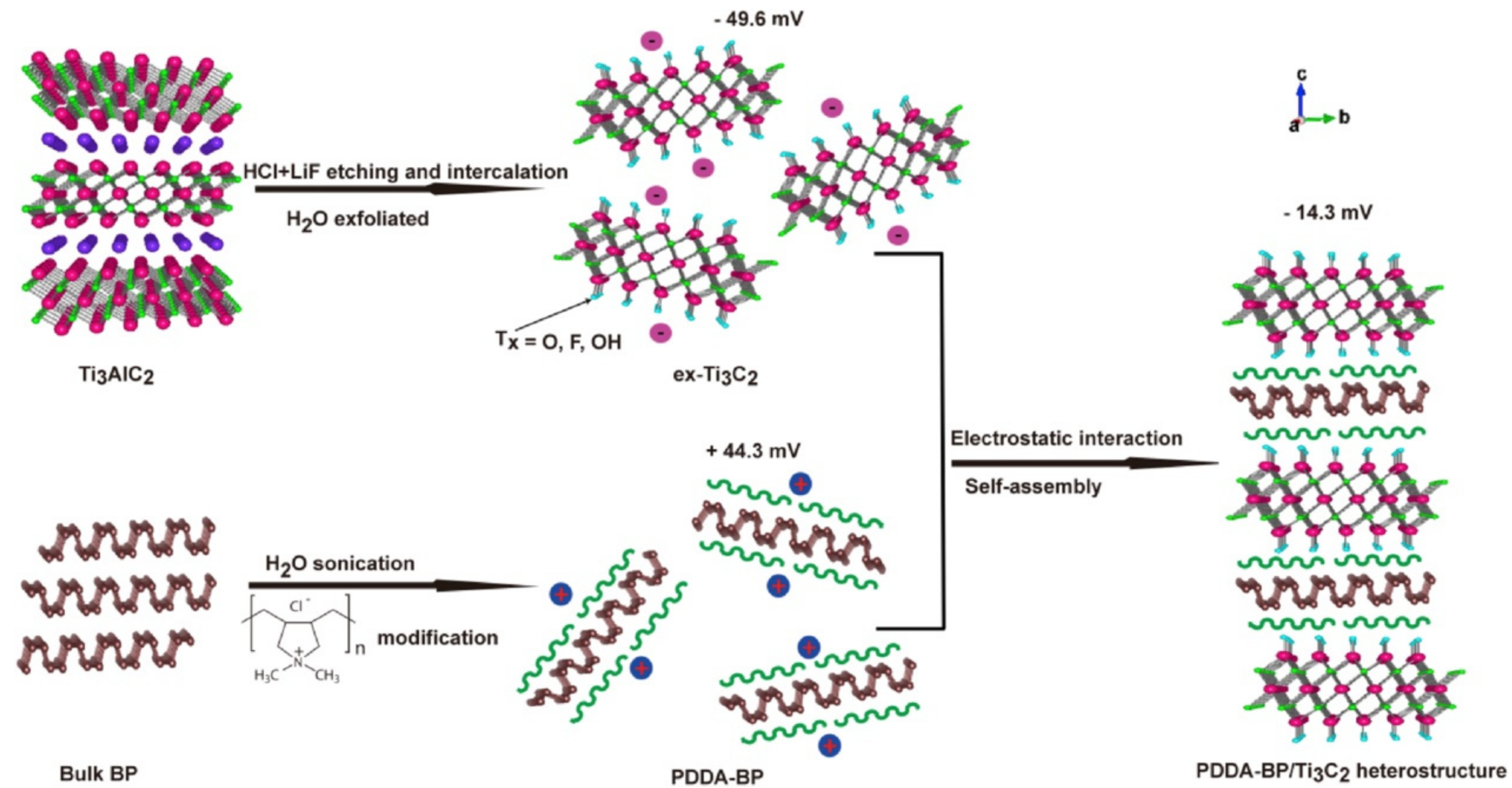 Nanomaterials 12 01907 g005