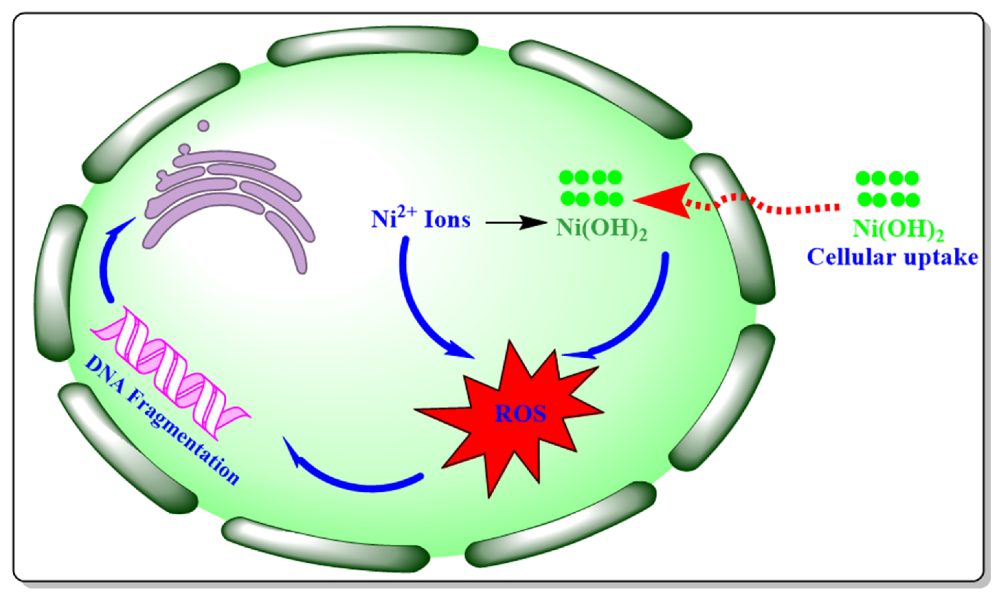 Nanomaterials 12 01919 sch001