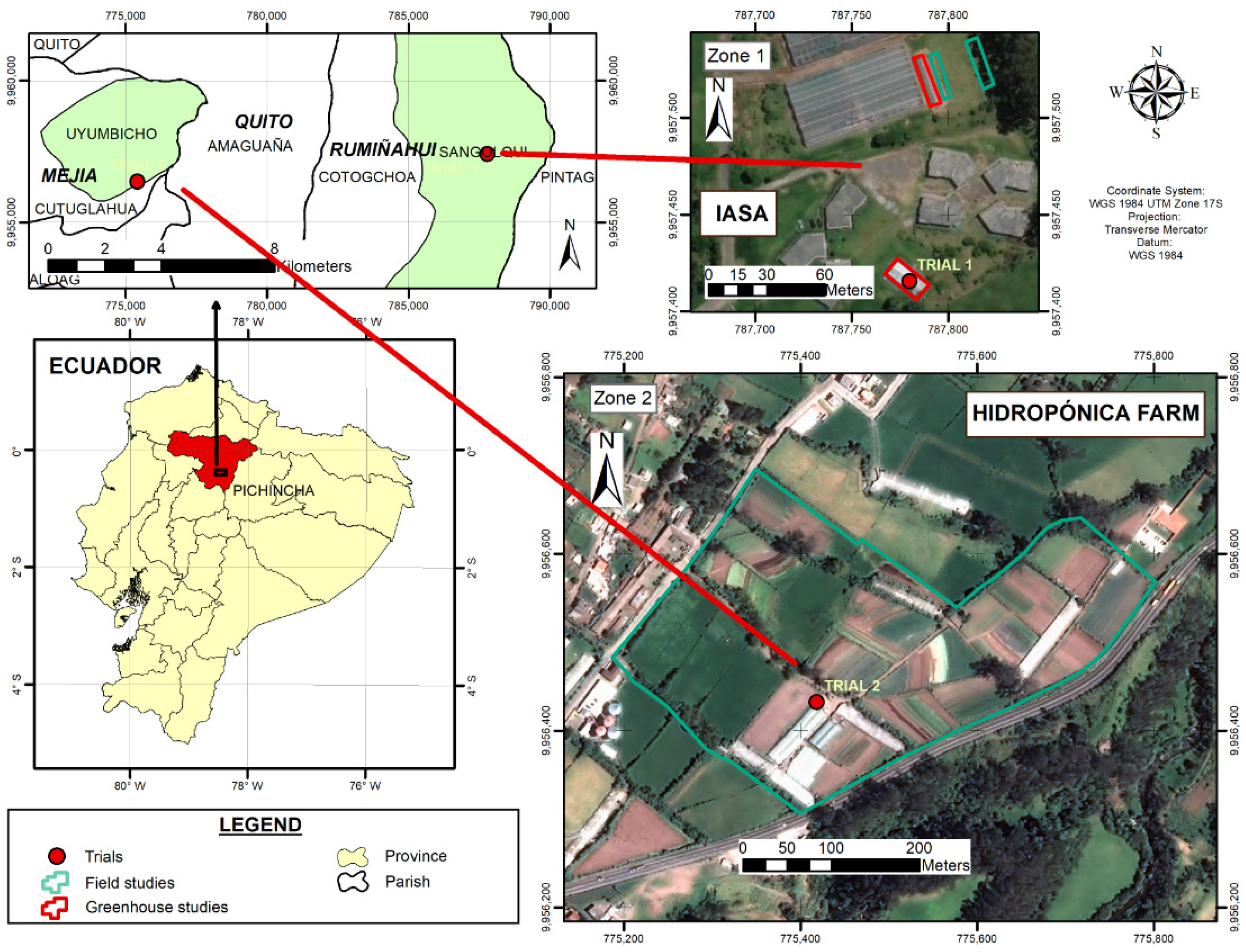 Nanomaterials 12 01921 g001