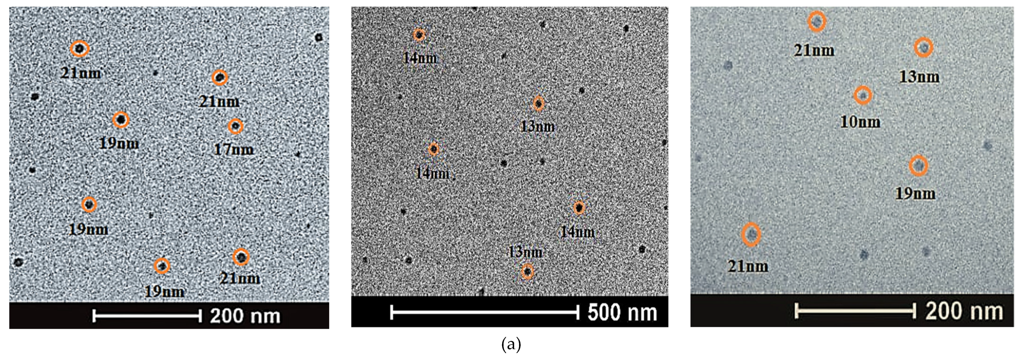 Nanomaterials 12 01921 g006a