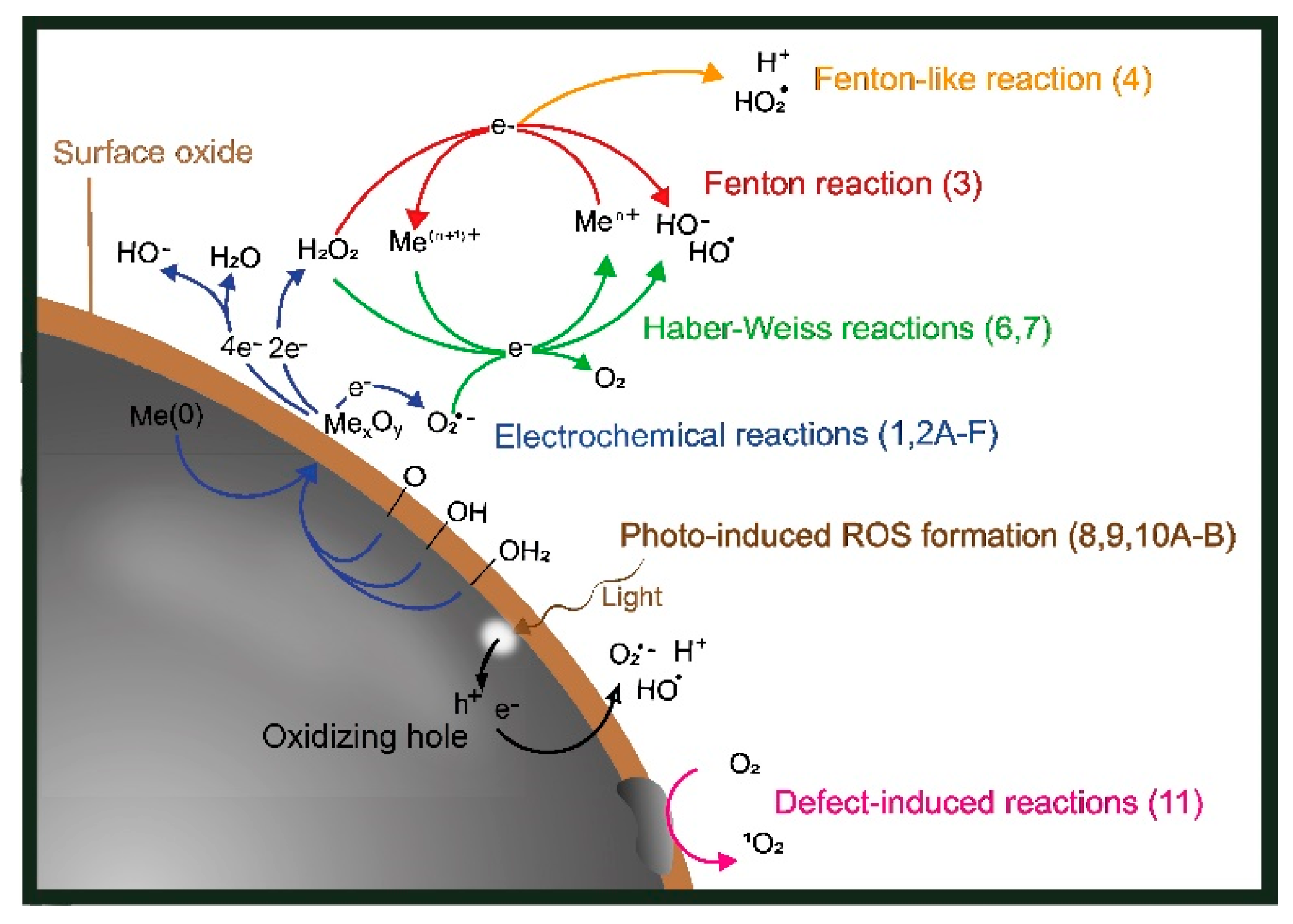 Nanomaterials 12 01922 g001