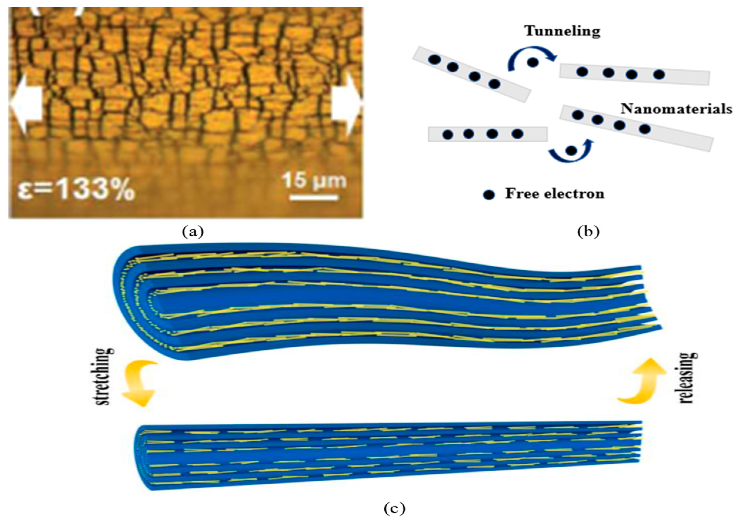 Nanomaterials 12 01932 g001