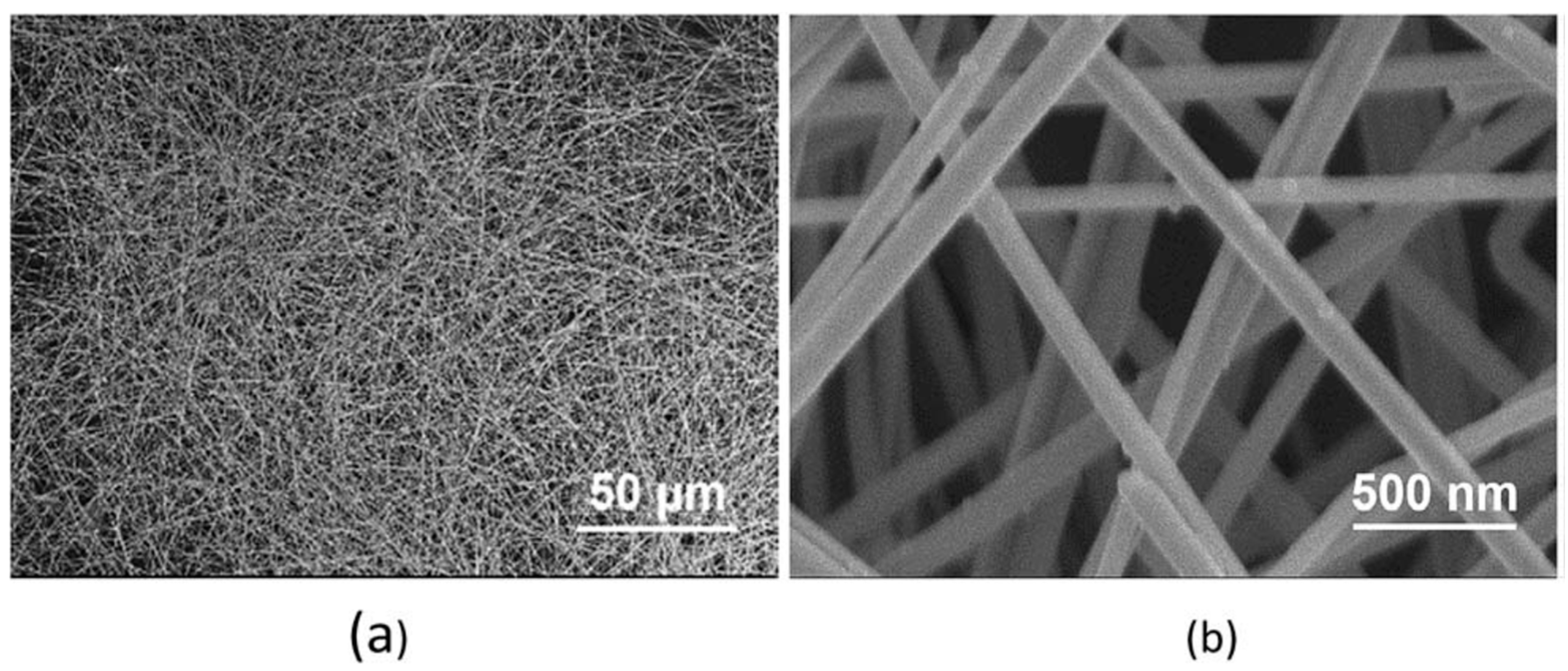 Nanomaterials 12 01932 g002