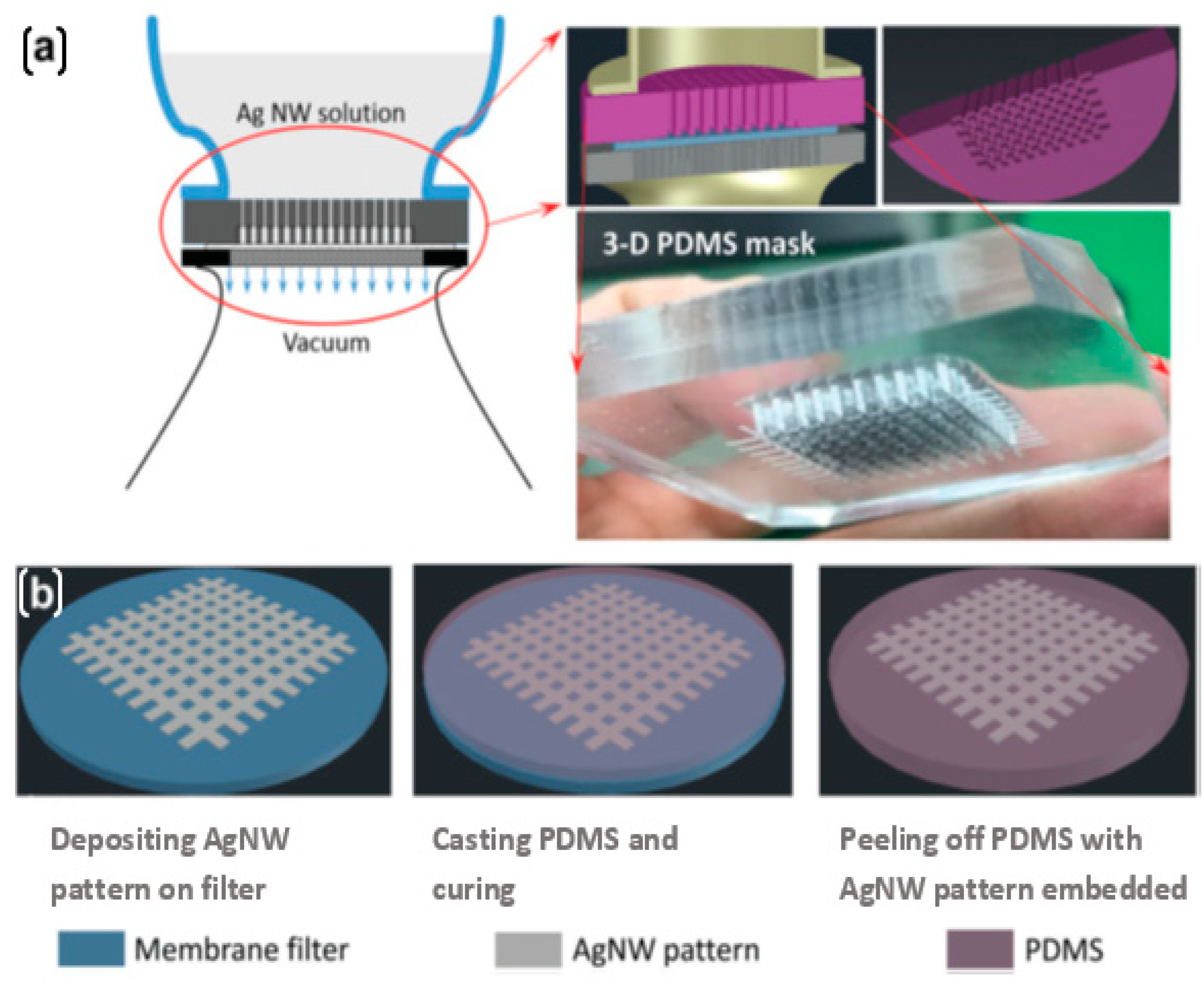 Nanomaterials 12 01932 g005