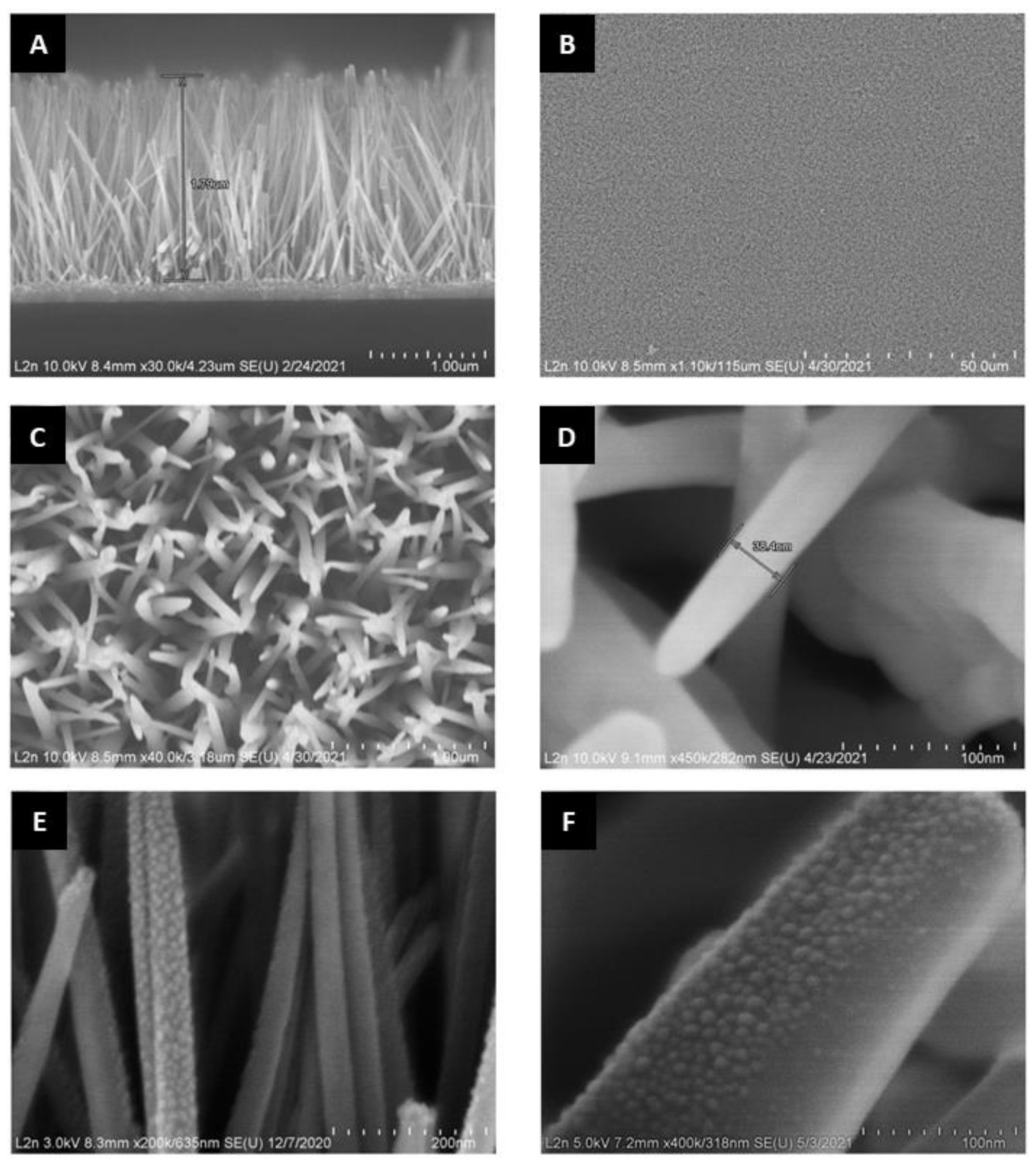 Nanomaterials 12 01941 g004