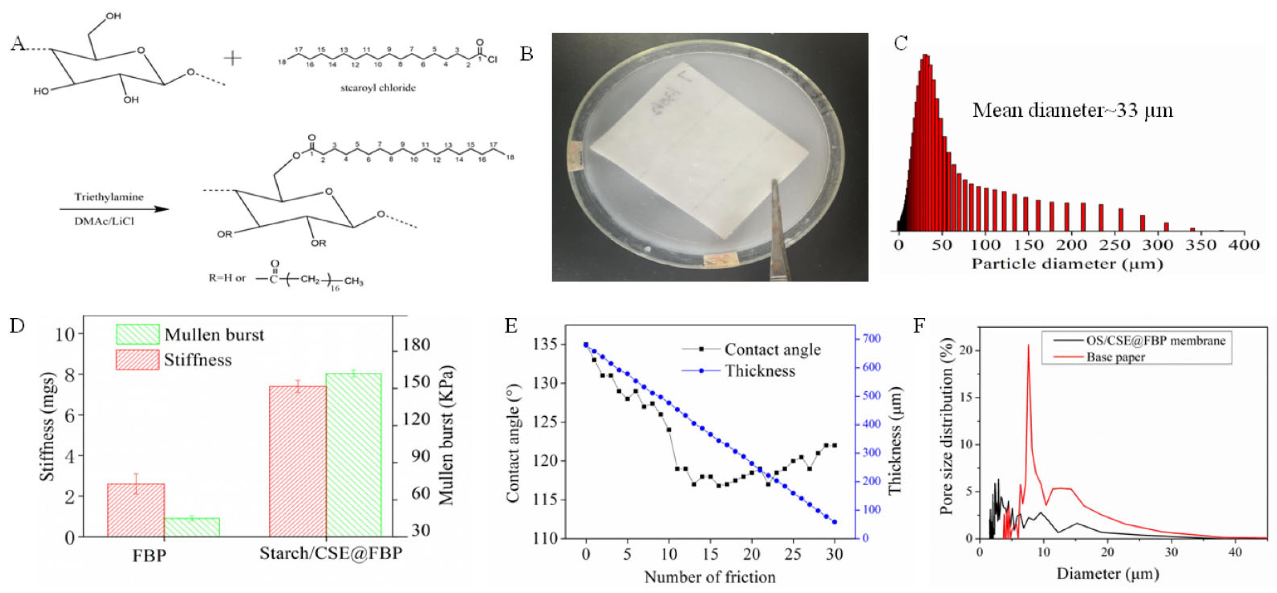 Nanomaterials 12 01964 g001
