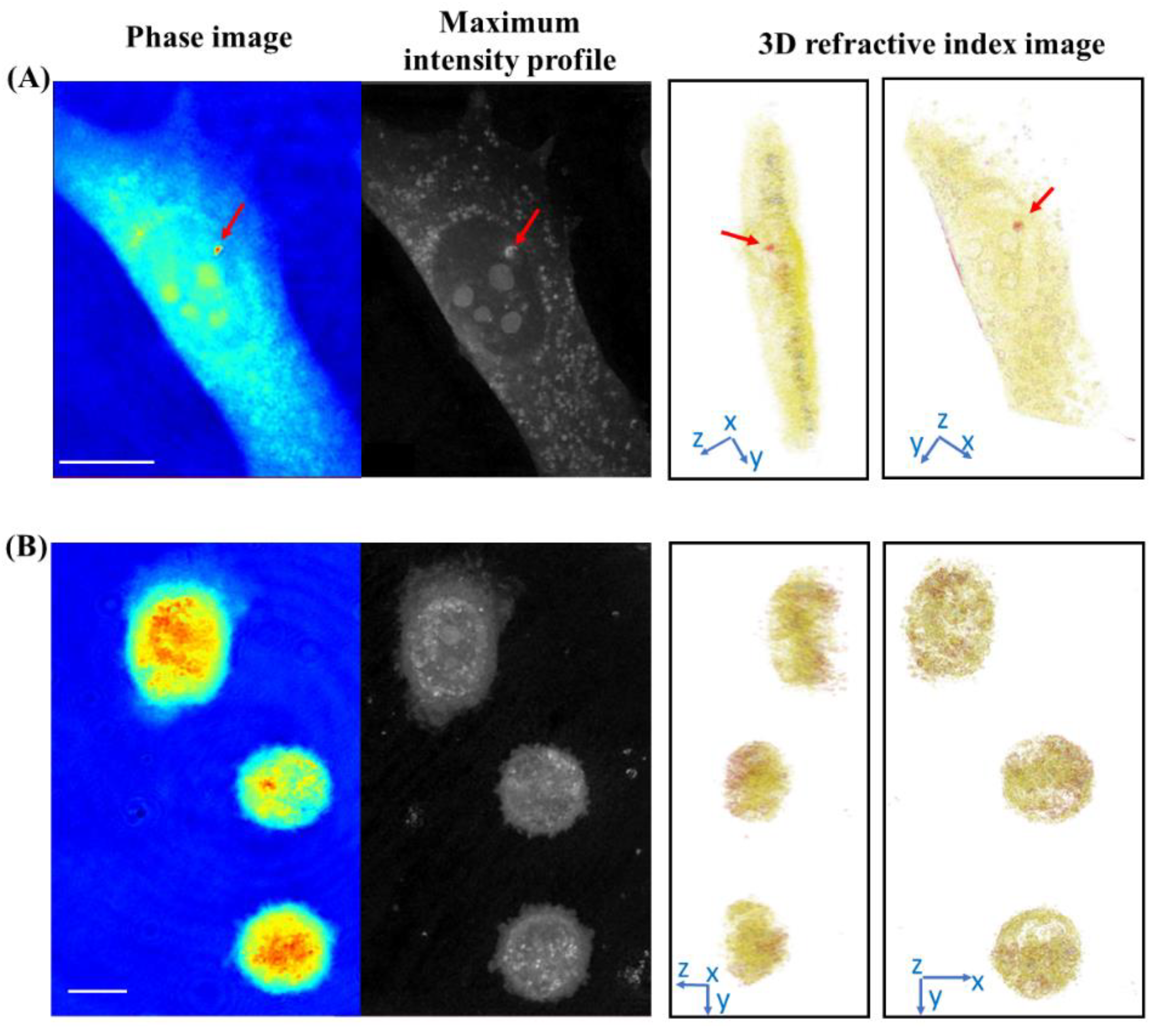 Nanomaterials 12 01994 g003