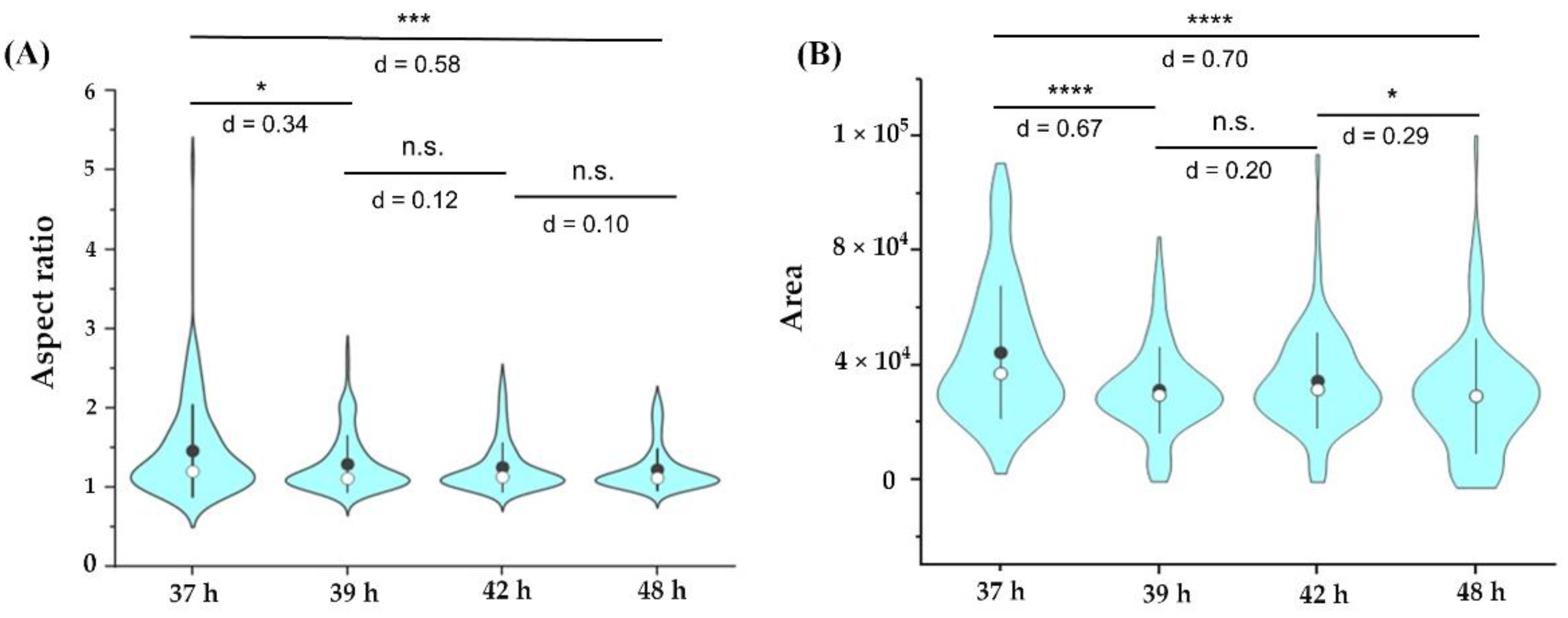 Nanomaterials 12 01994 g004