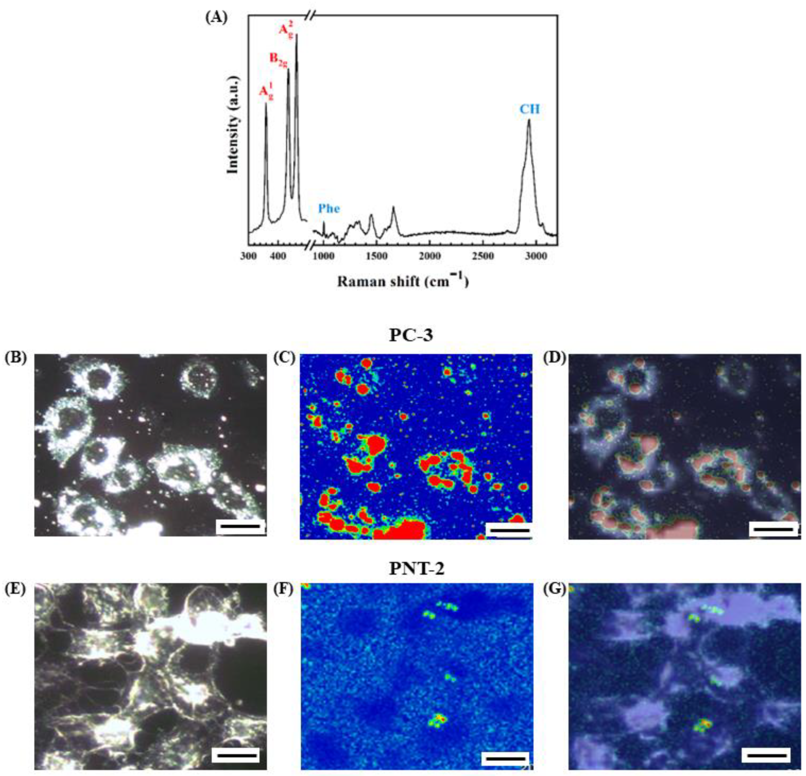 Nanomaterials 12 01994 g005