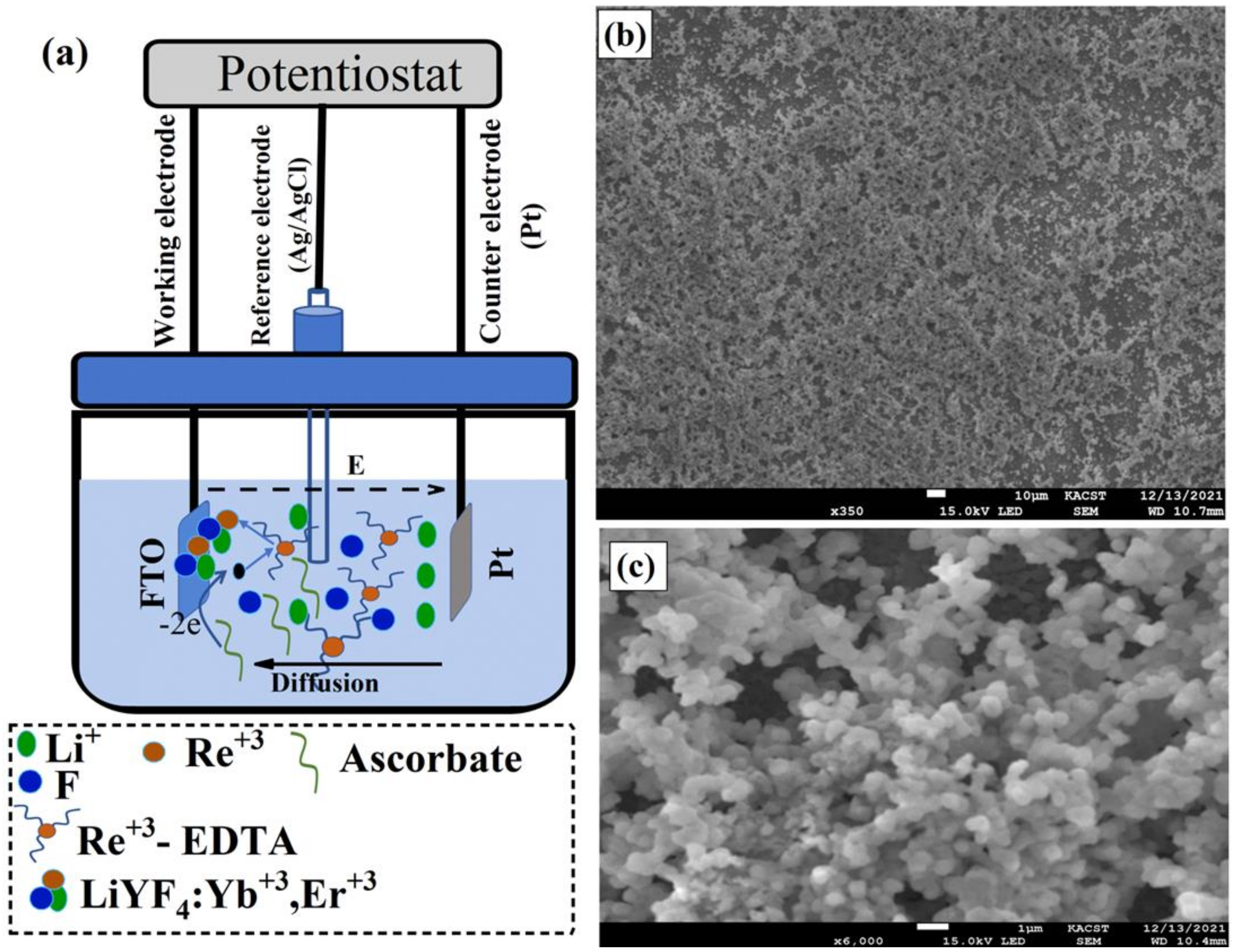 Nanomaterials 12 02115 g001