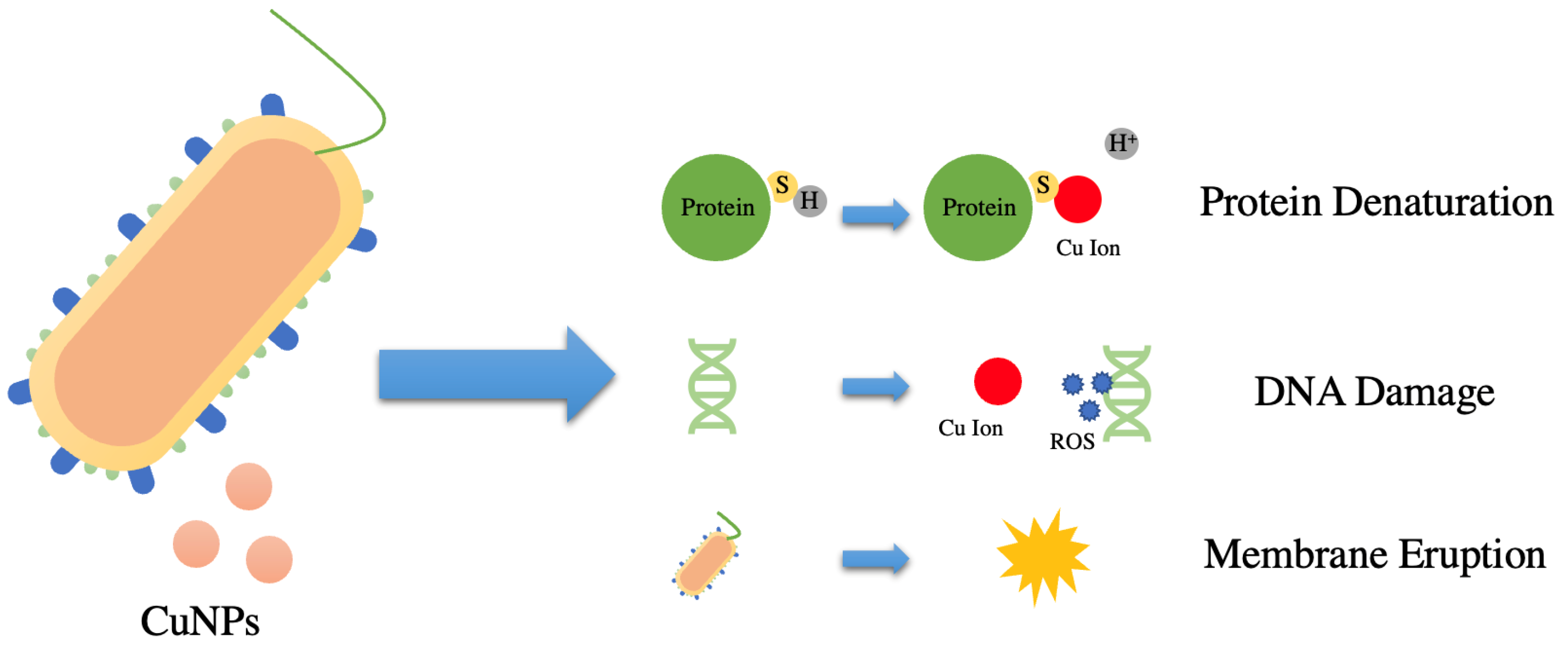 Nanomaterials 12 02139 g001 Nanomaterials 12 02139 g001