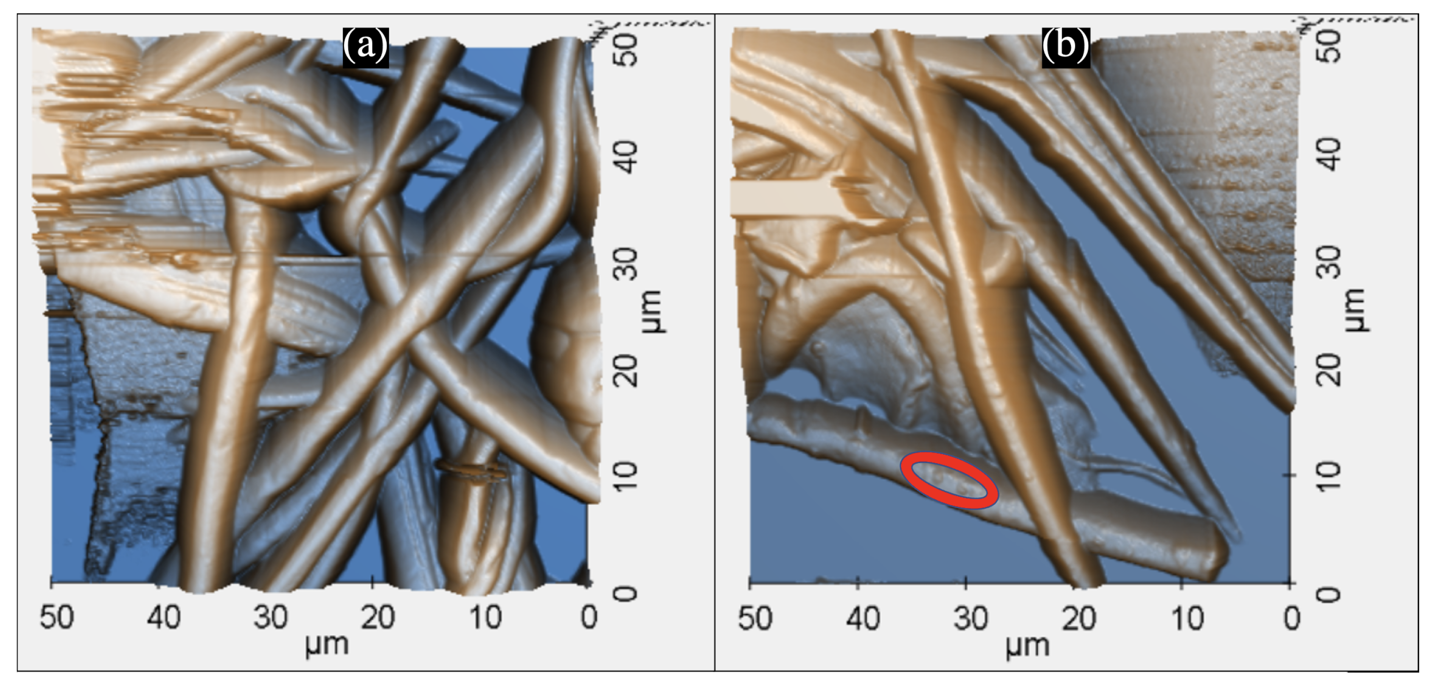 Nanomaterials 12 02139 g003 Nanomaterials 12 02139 g003