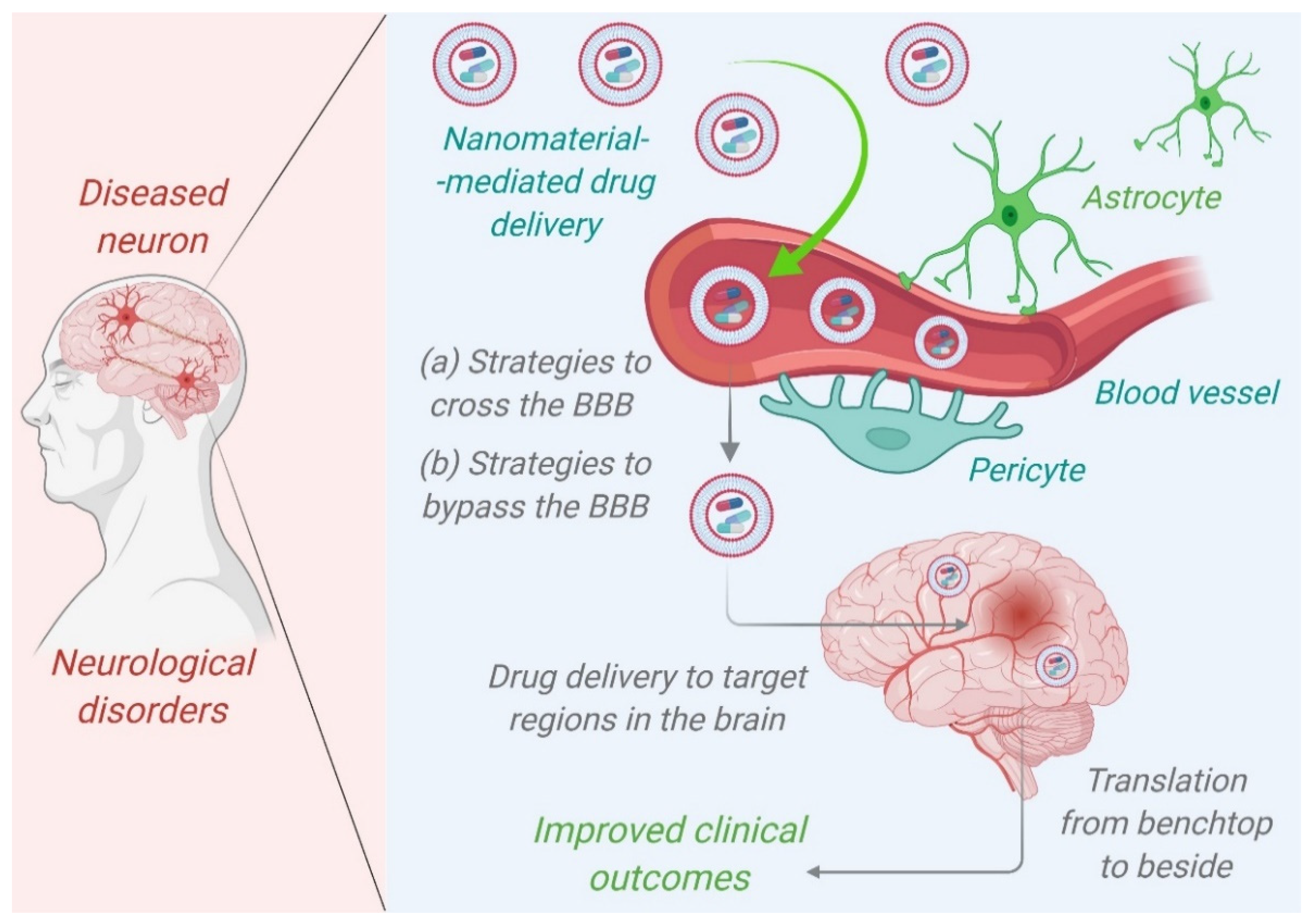 Nanomaterials 12 02140 g002