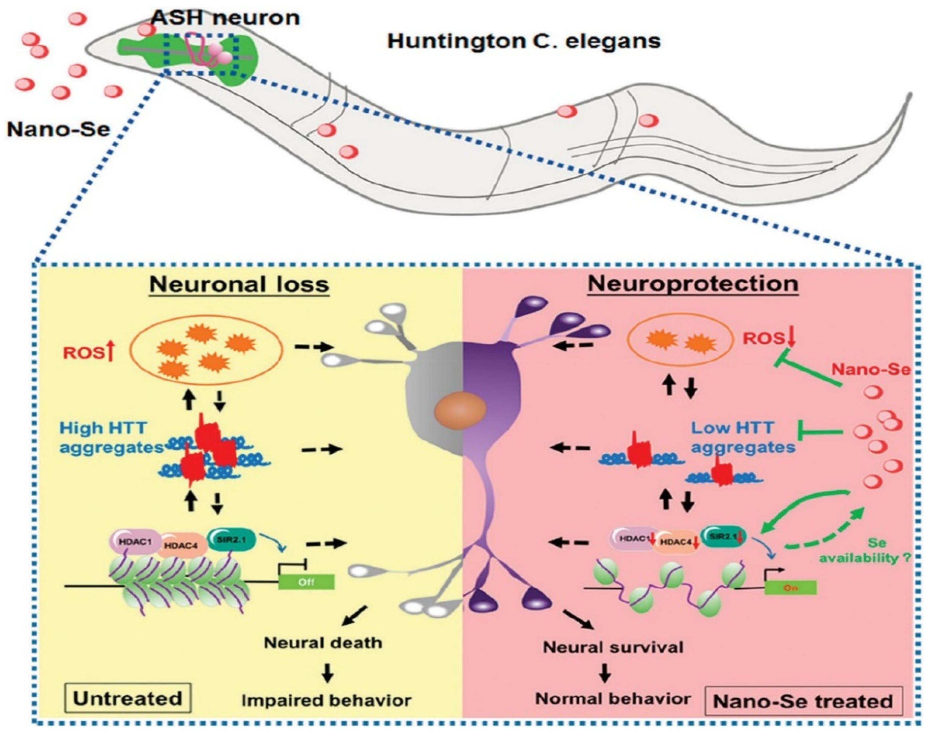 Nanomaterials 12 02140 g004