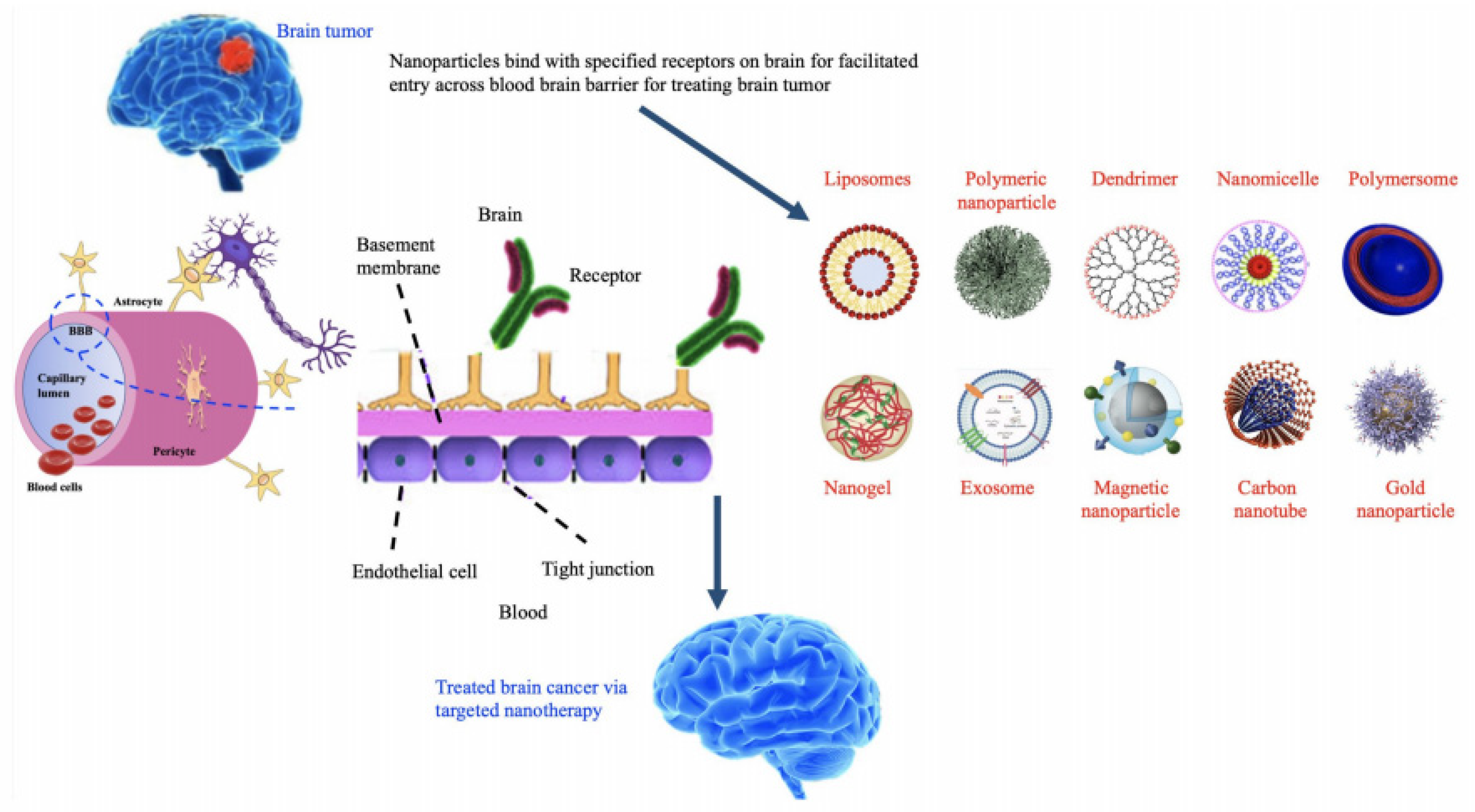 Nanomaterials 12 02140 g008
