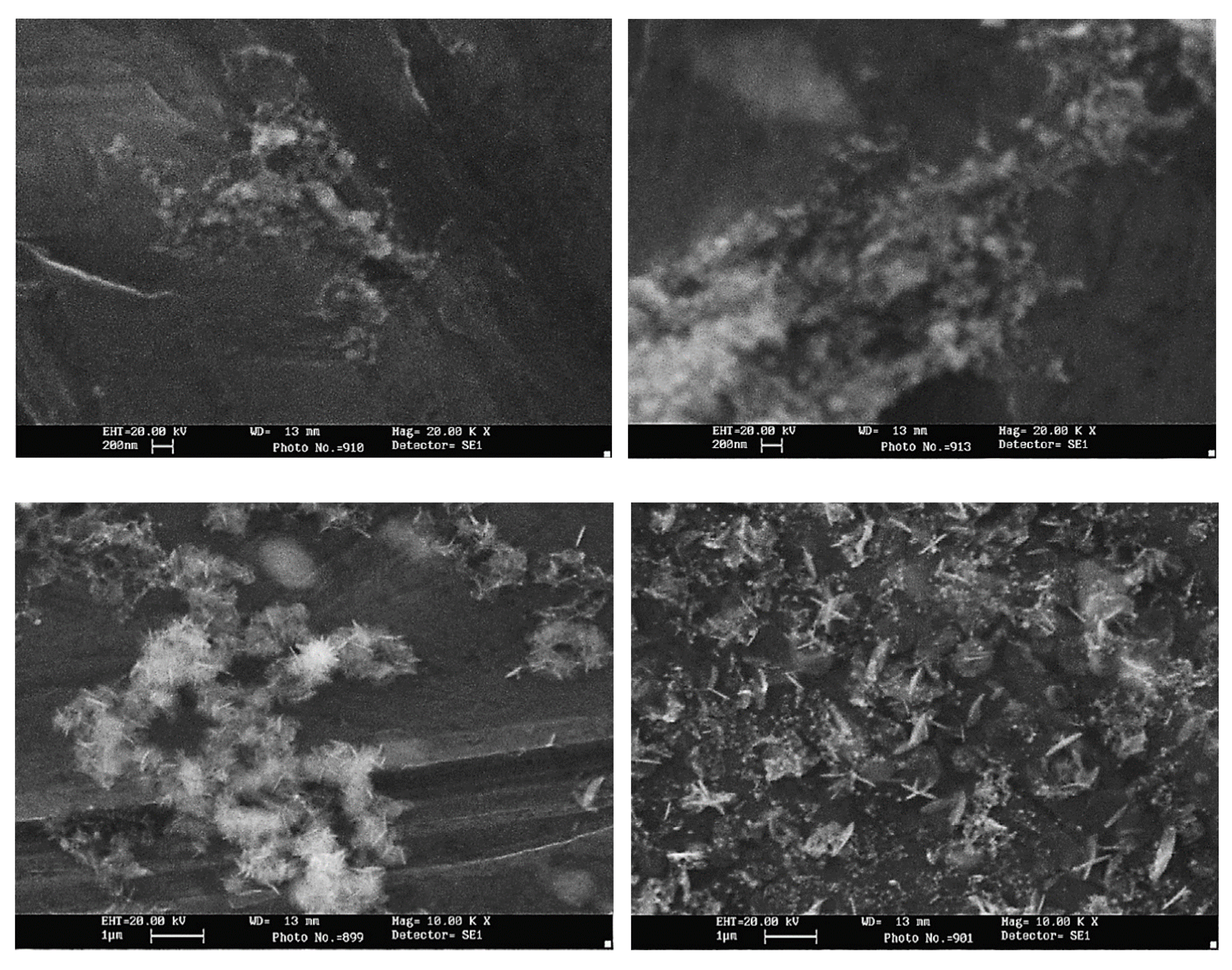Nanomaterials 12 02144 g005