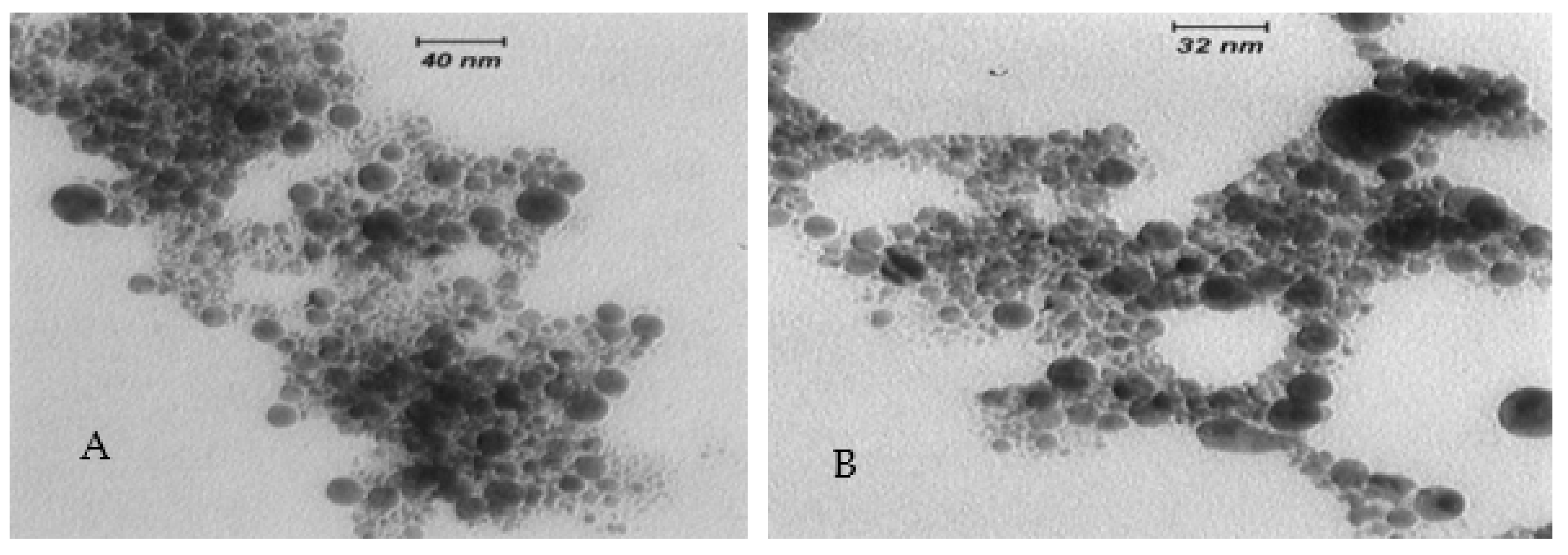 Nanomaterials 12 02144 g014