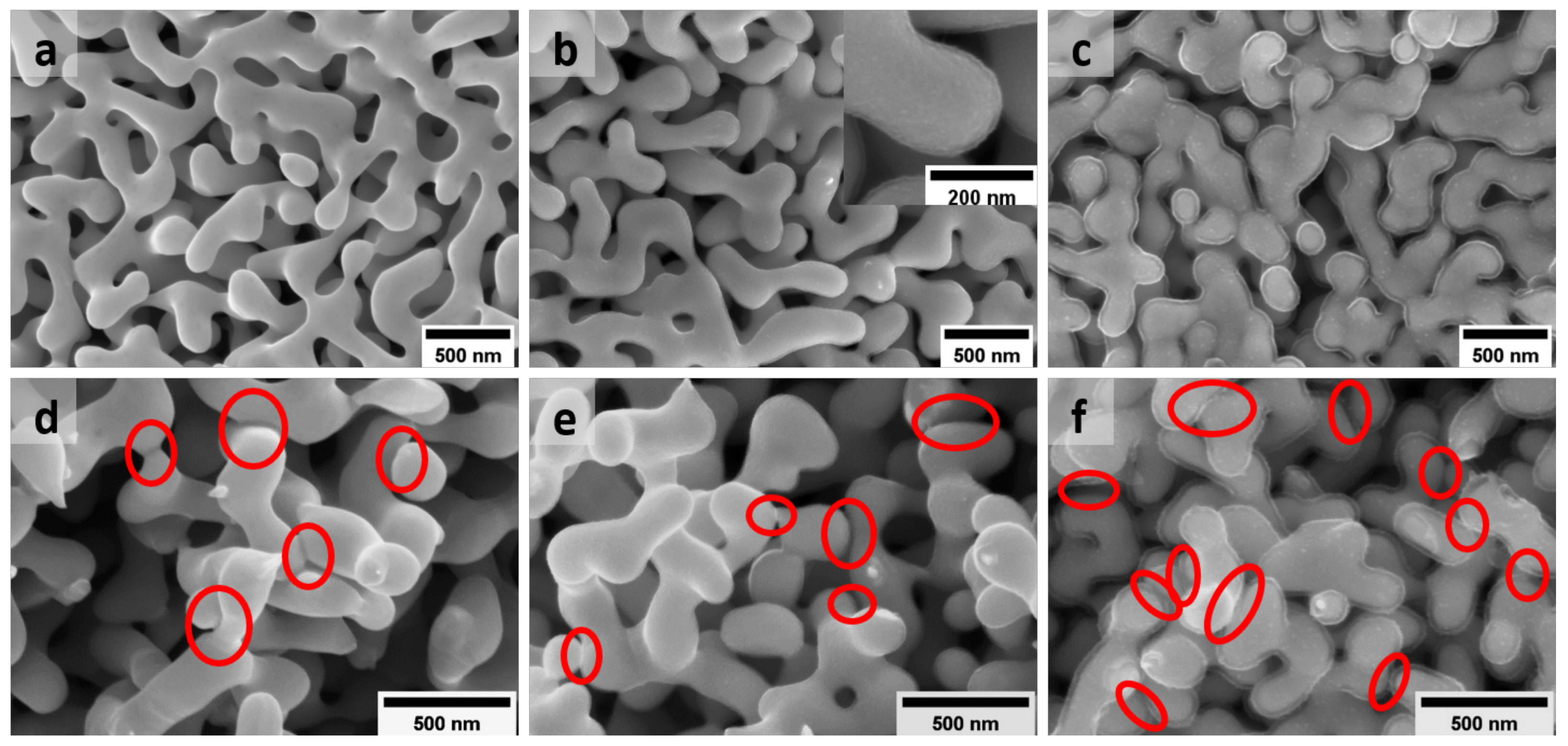 Nanomaterials 12 02149 g001