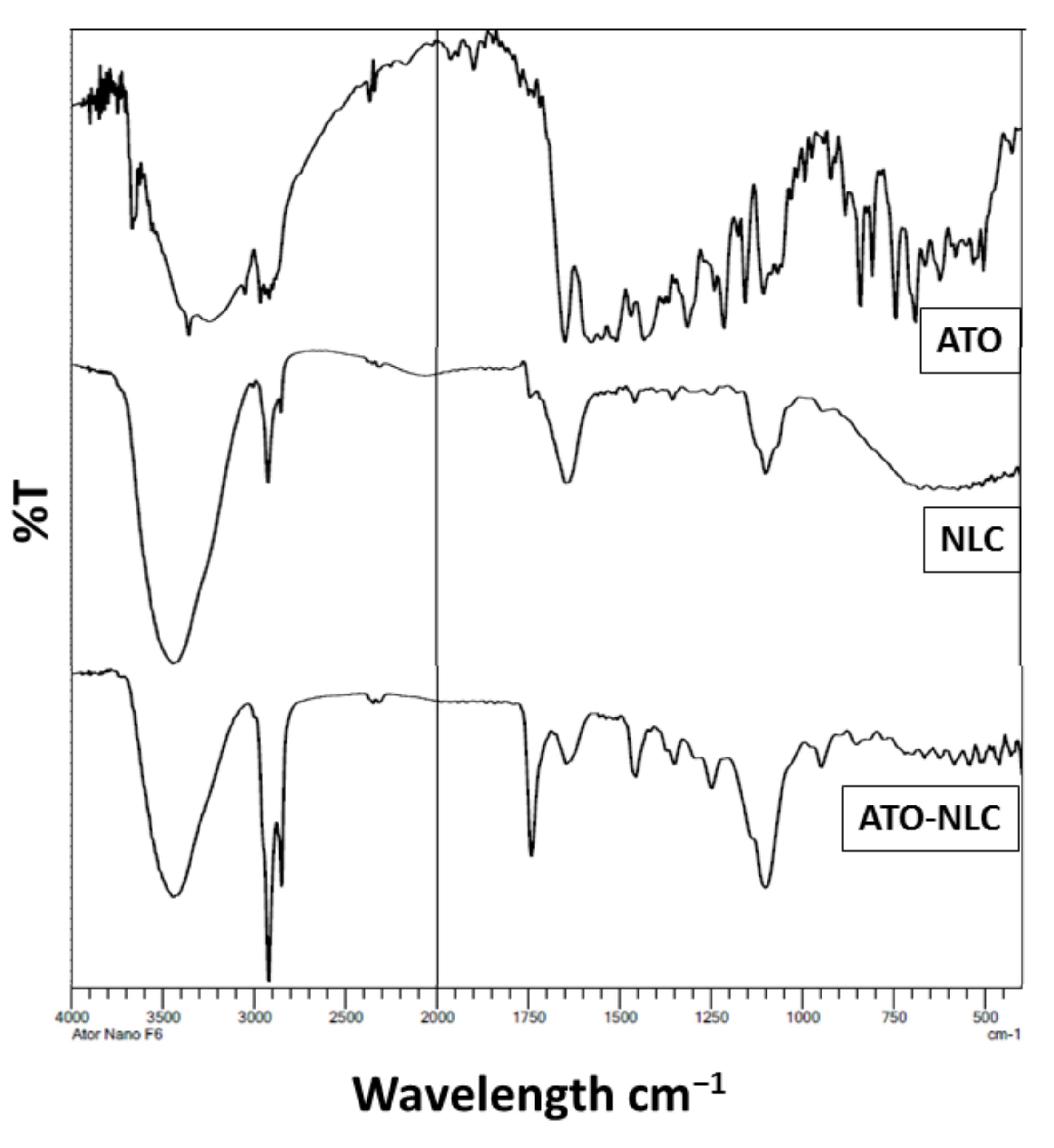 Nanomaterials 12 02160 g007