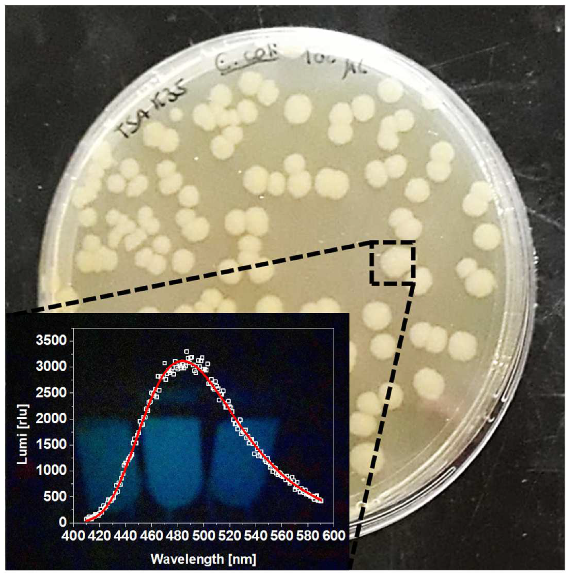 Nanomaterials 12 02164 g001