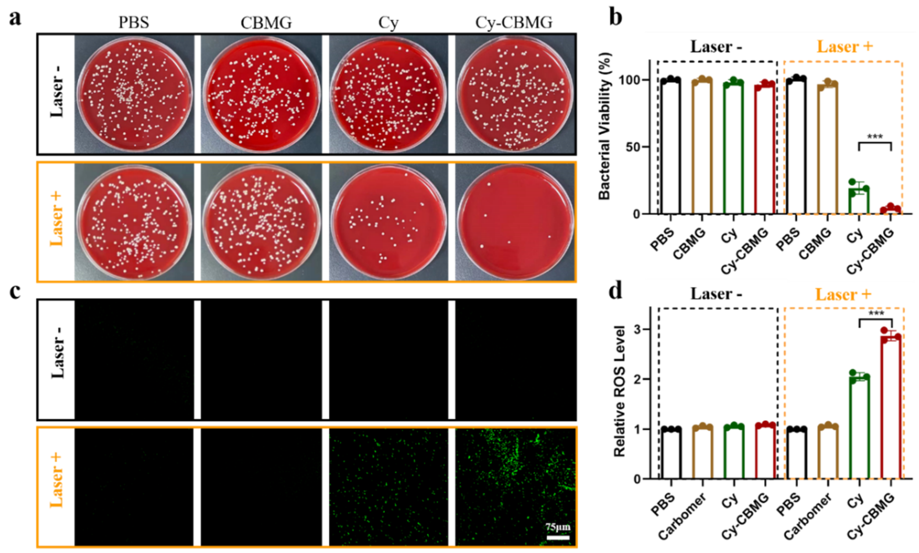 Nanomaterials 12 02173 g003