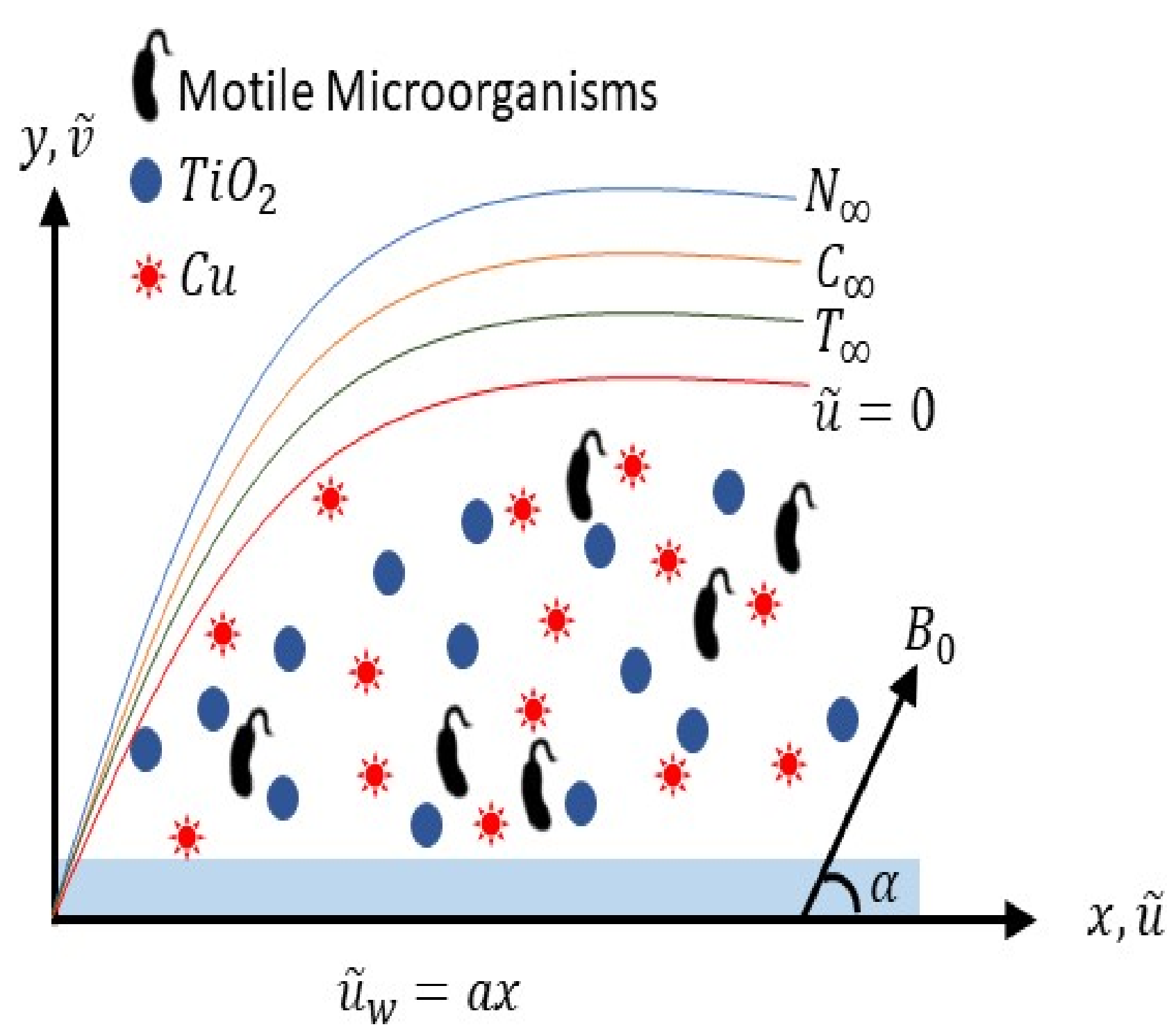 Nanomaterials 12 02174 g001