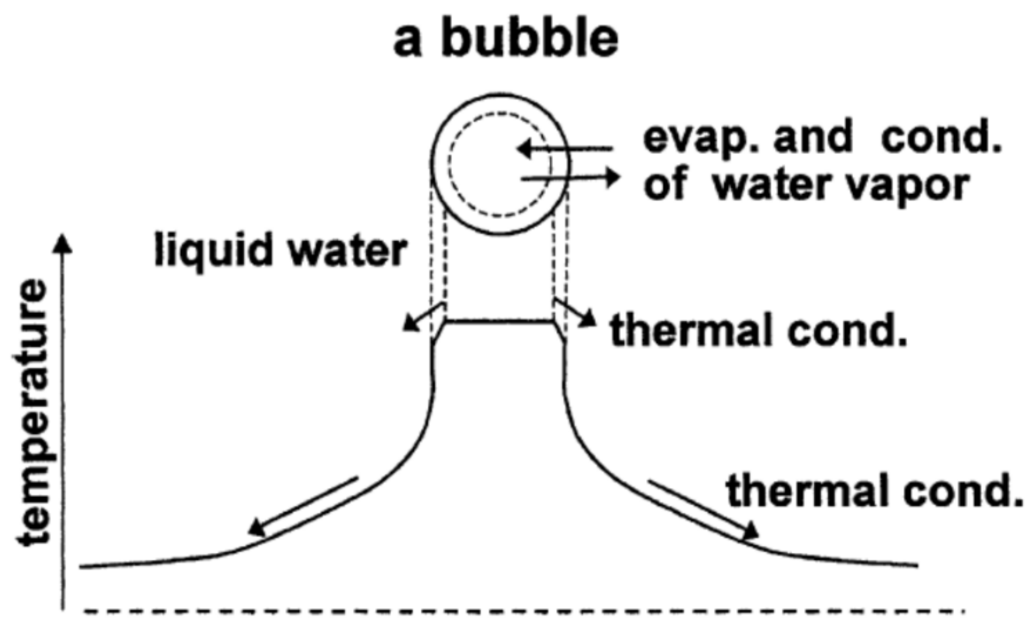 Nanomaterials 12 02175 g005