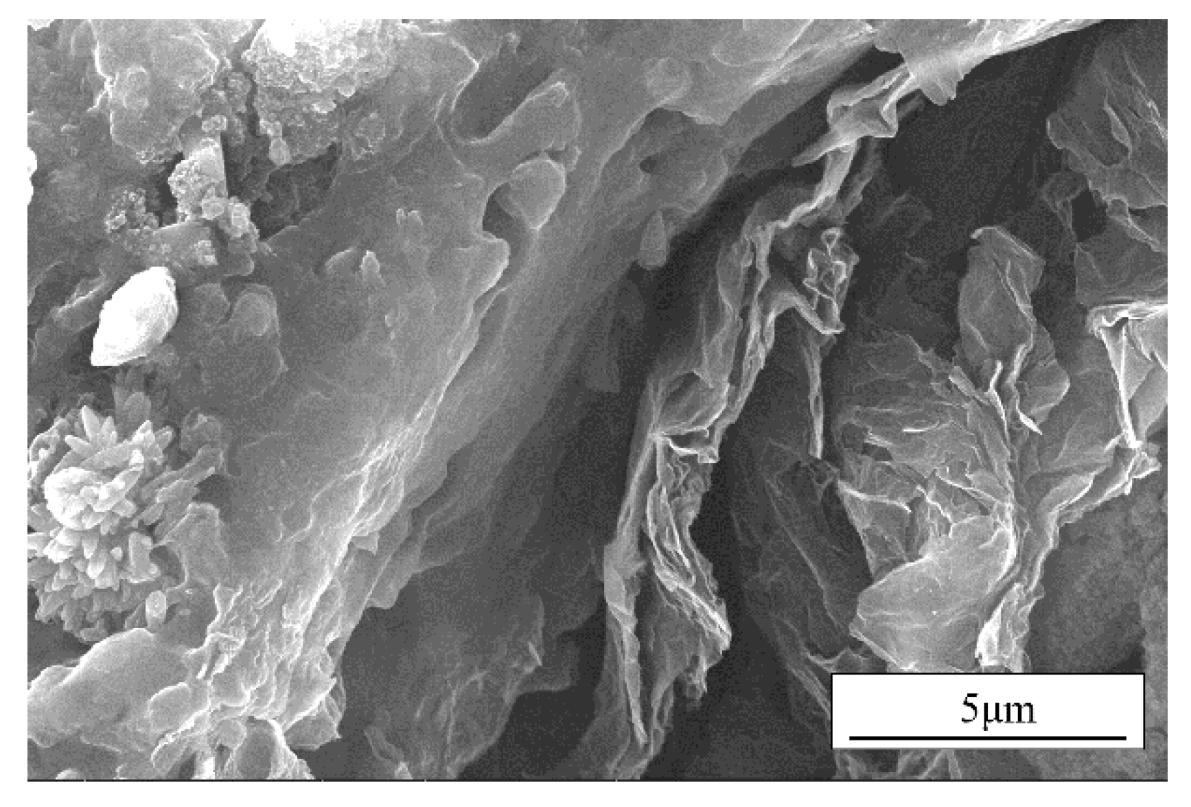 Nanomaterials 12 02182 g004