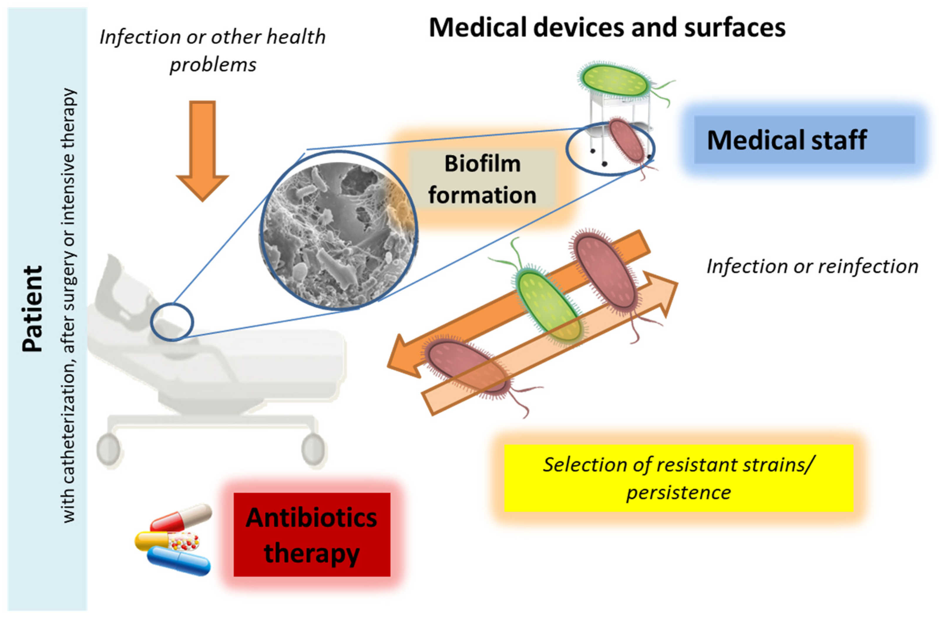 Nanomaterials 12 02183 g001