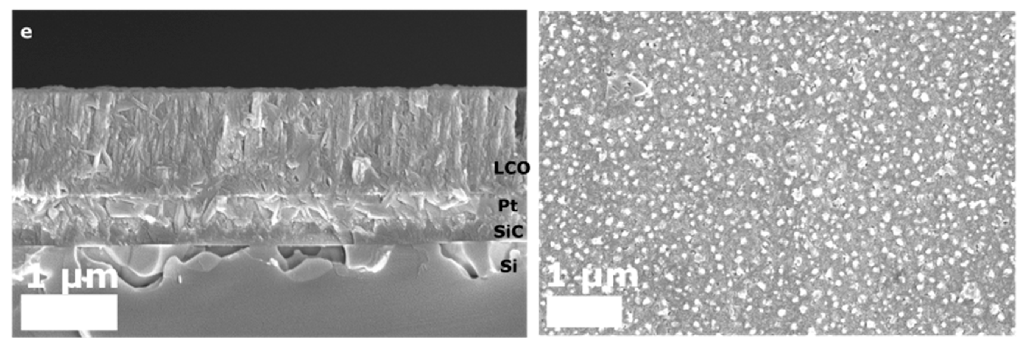 Nanomaterials 12 02188 g004b Nanomaterials 12 02188 g004b