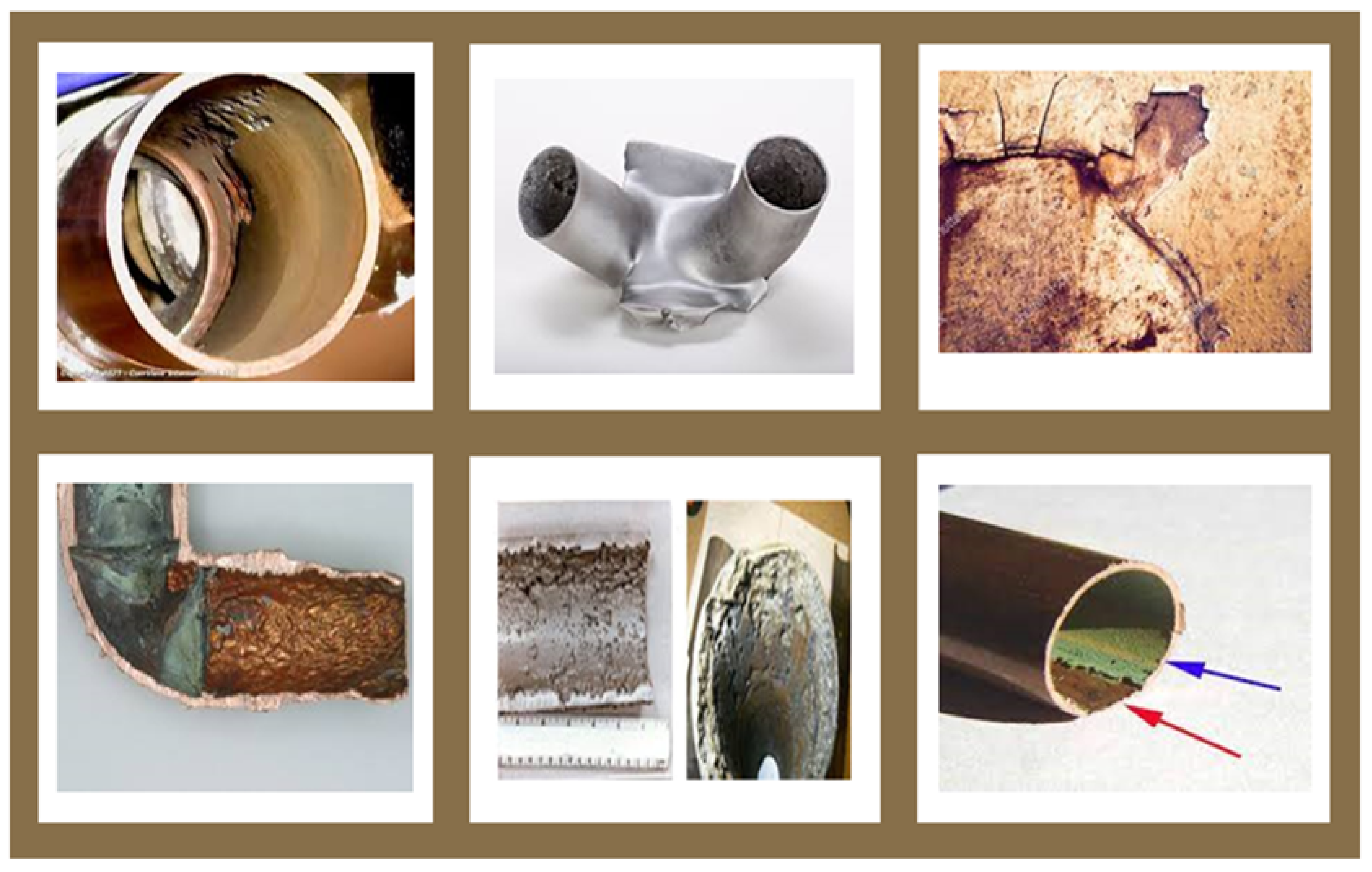 Nanomaterials 12 02194 g001