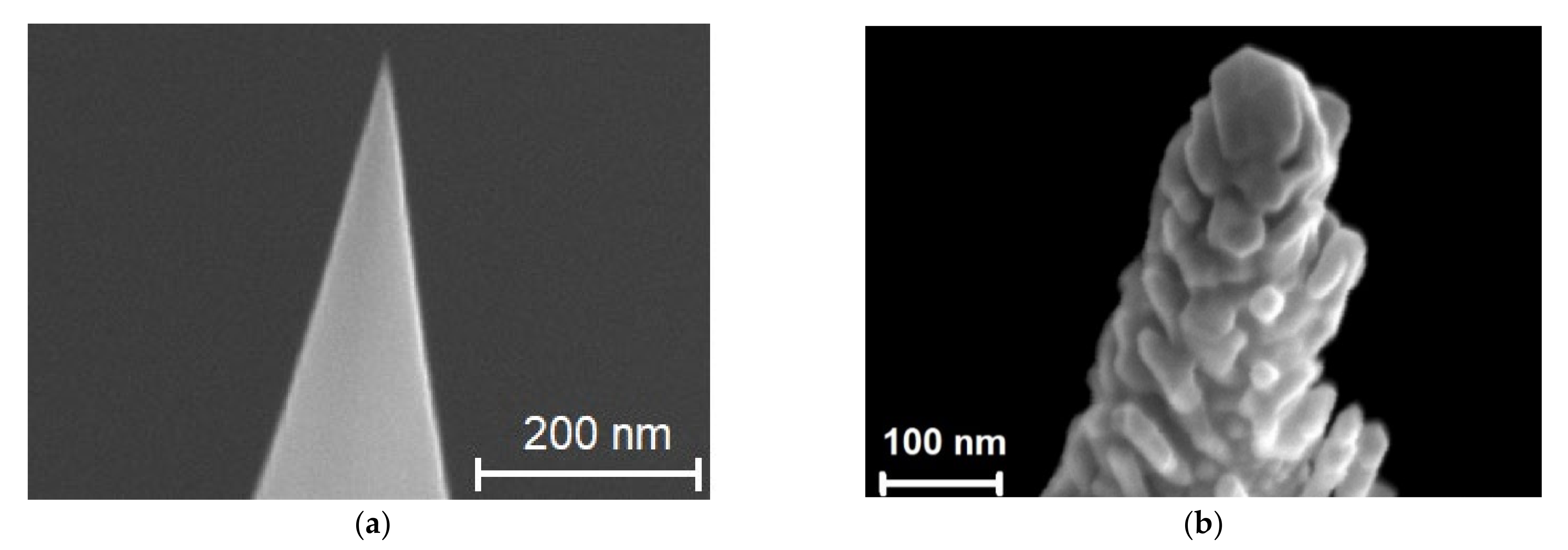 Nanomaterials 12 02197 g004