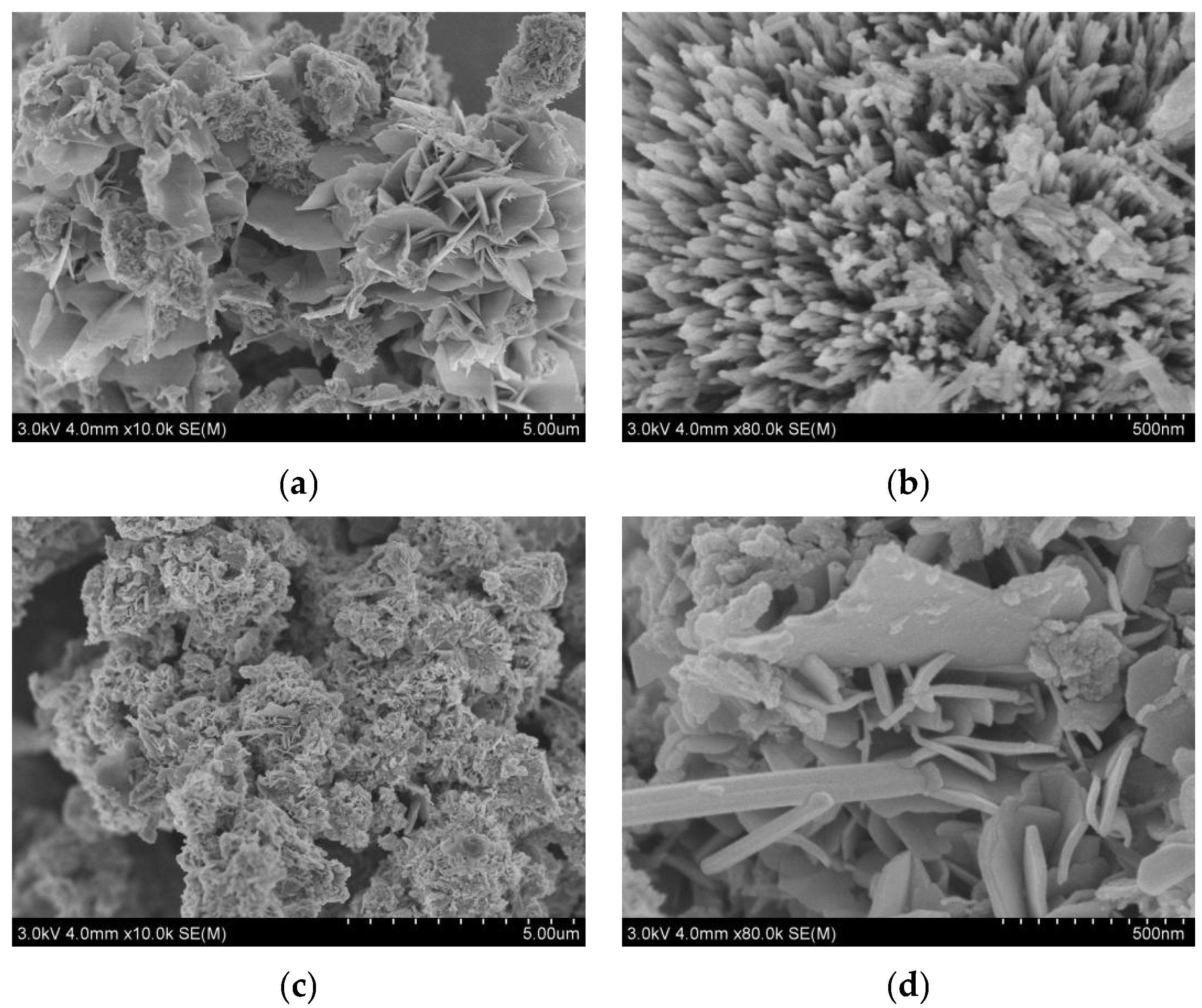 Nanomaterials 12 02200 g002a