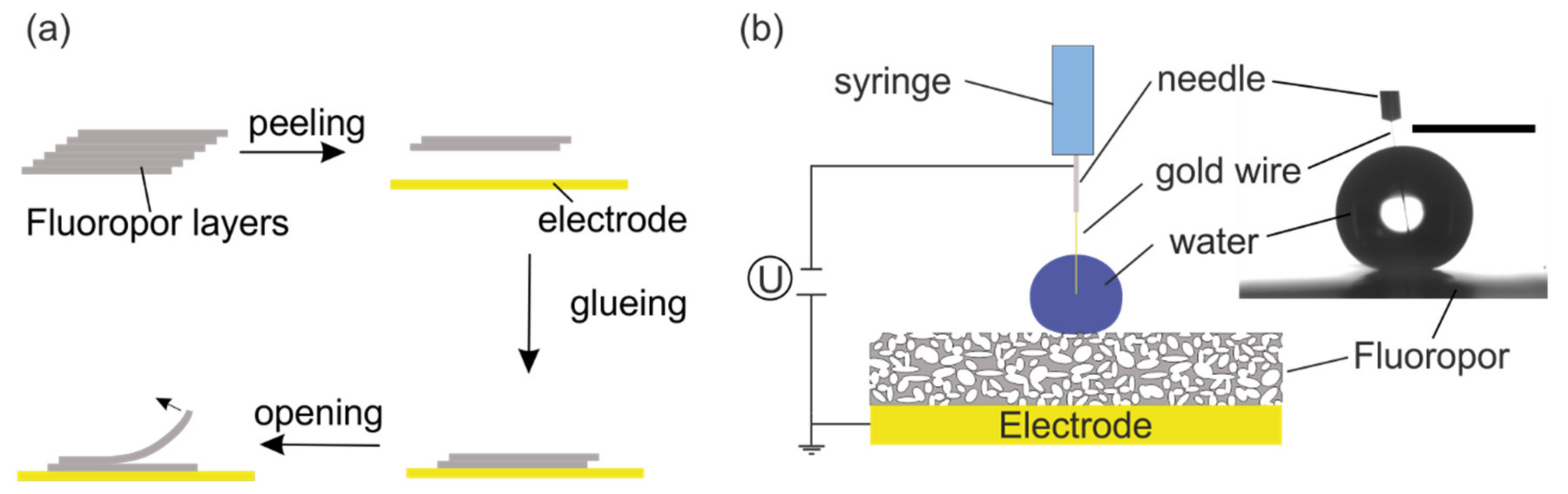 Nanomaterials 12 02201 g001