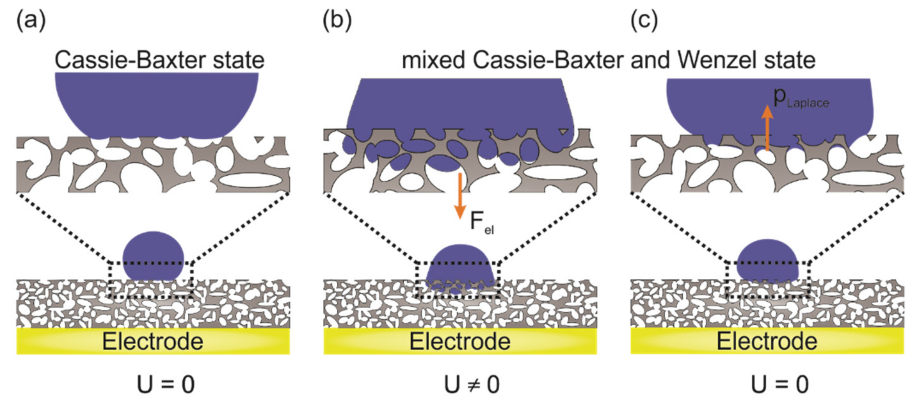 Nanomaterials 12 02201 g003