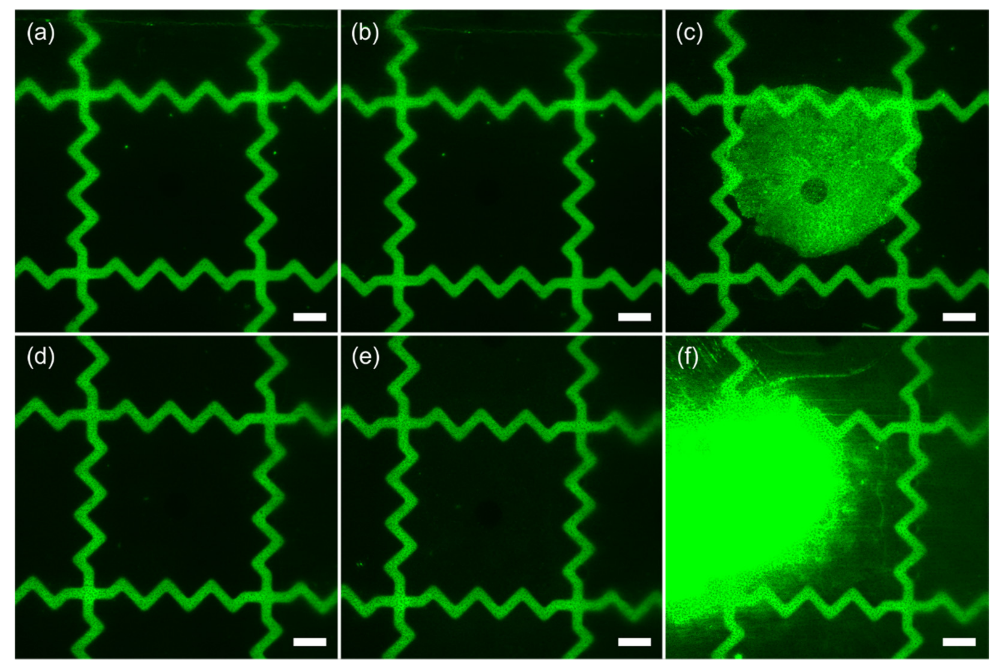 Nanomaterials 12 02201 g006