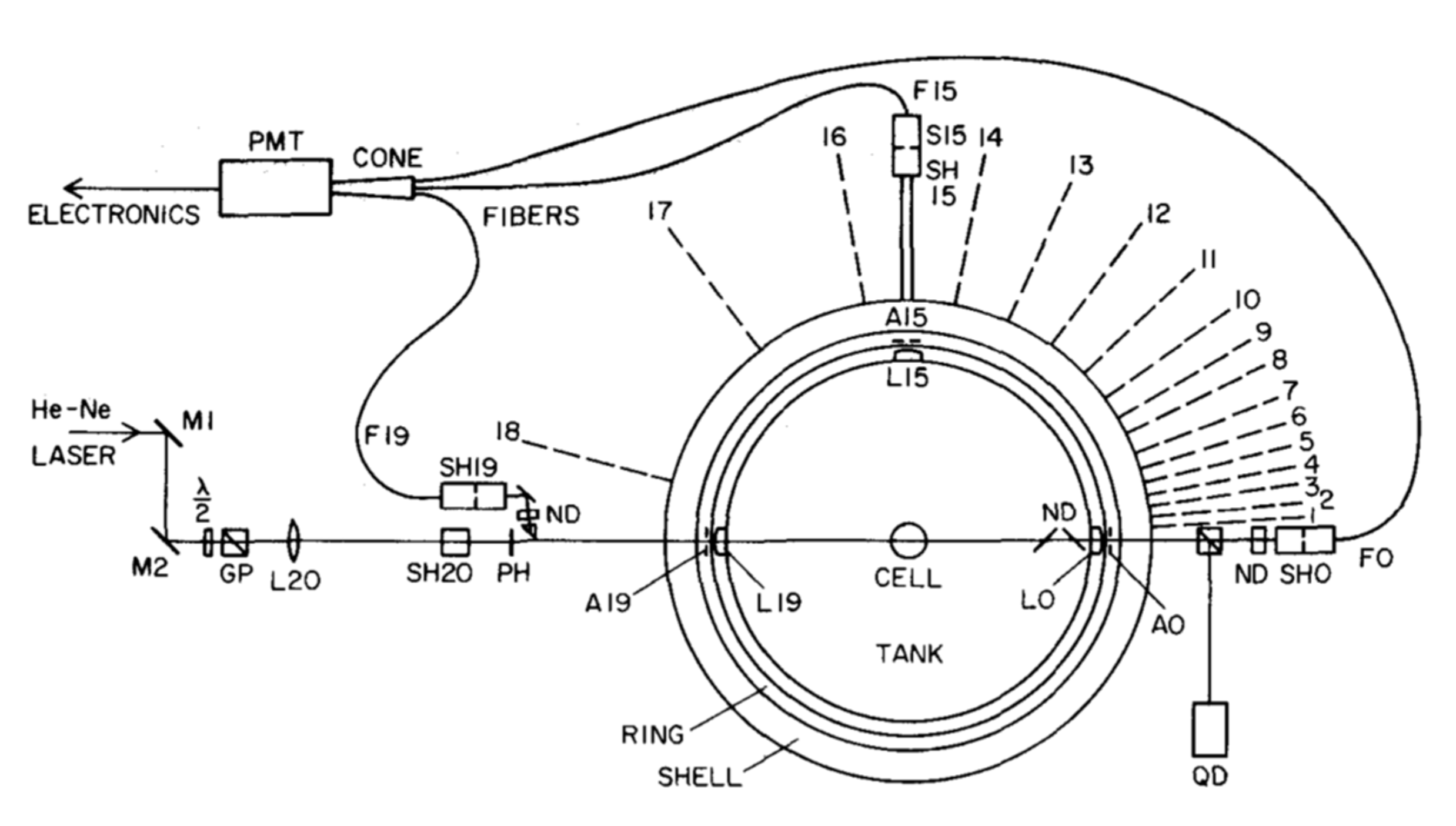 Nanomaterials 12 02214 g002