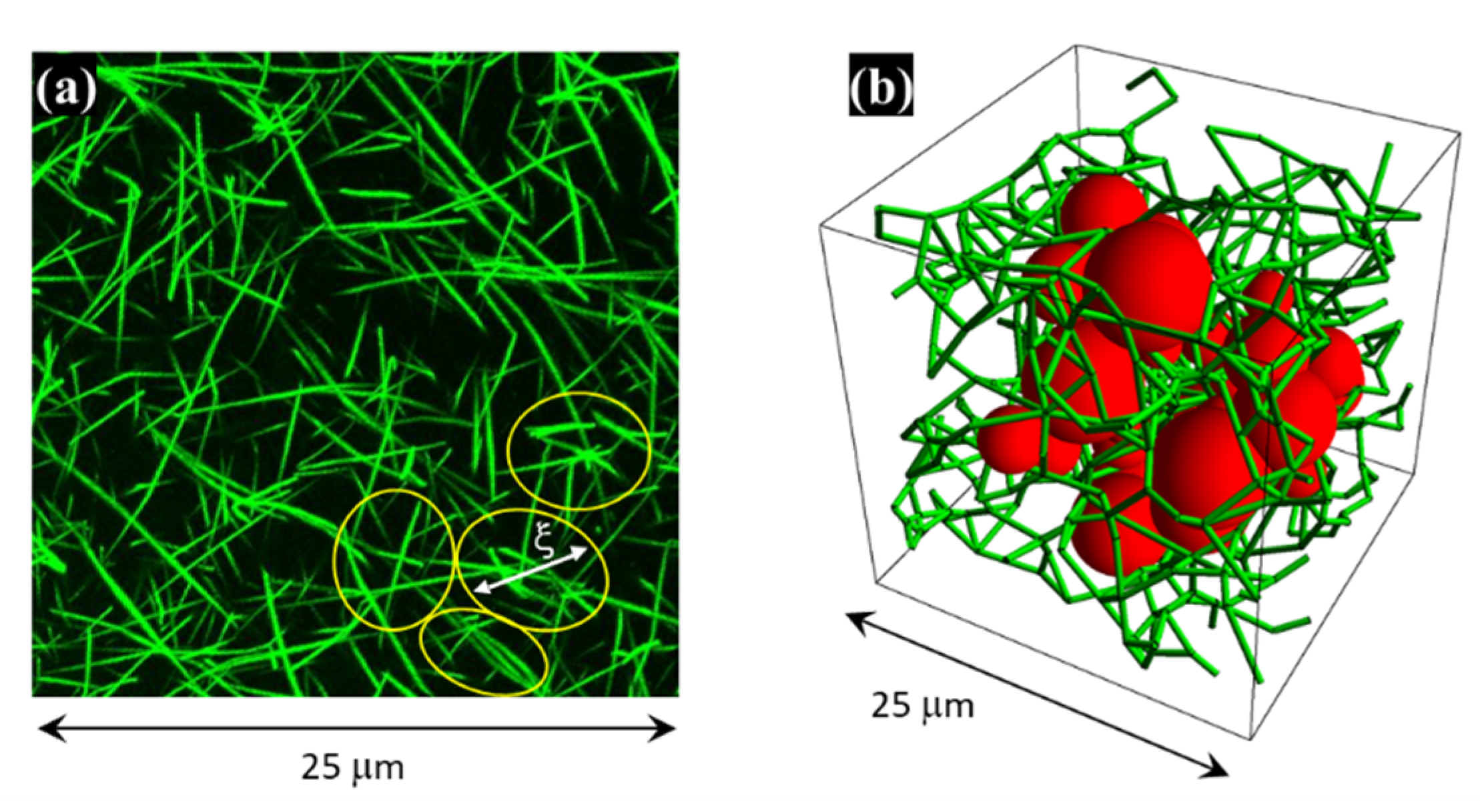 Nanomaterials 12 02214 g009