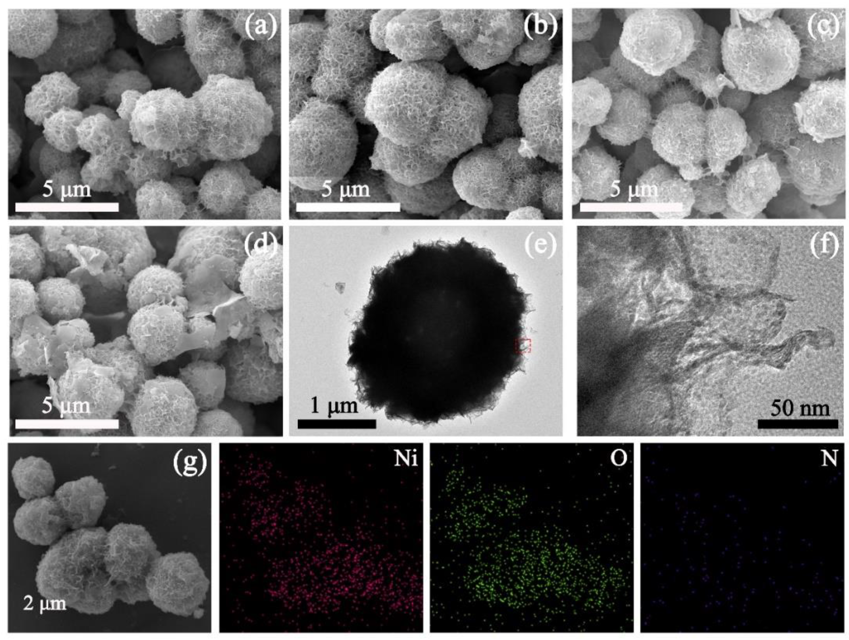 Nanomaterials 12 02216 g001