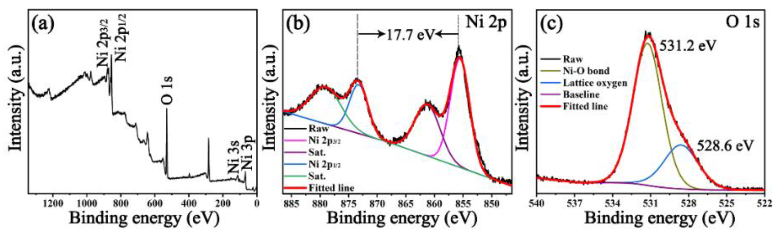 Nanomaterials 12 02216 g002