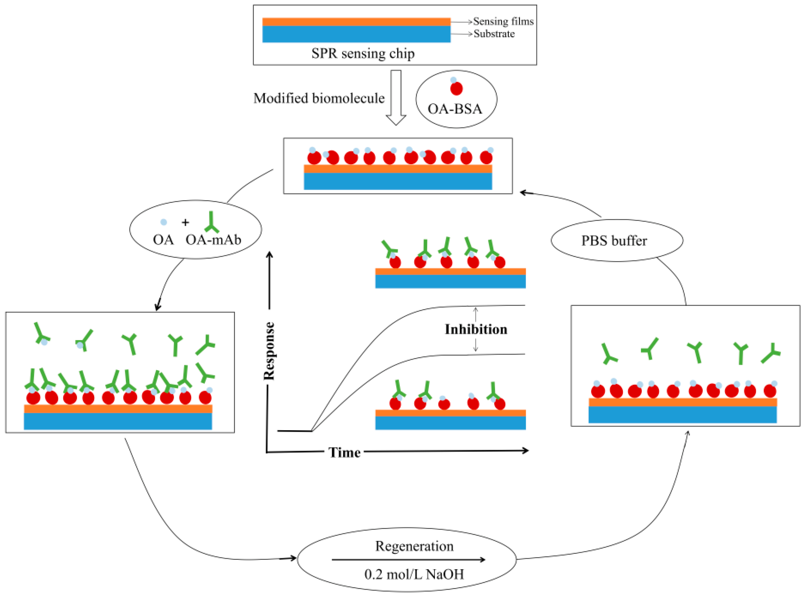 Nanomaterials 12 02219 g013
