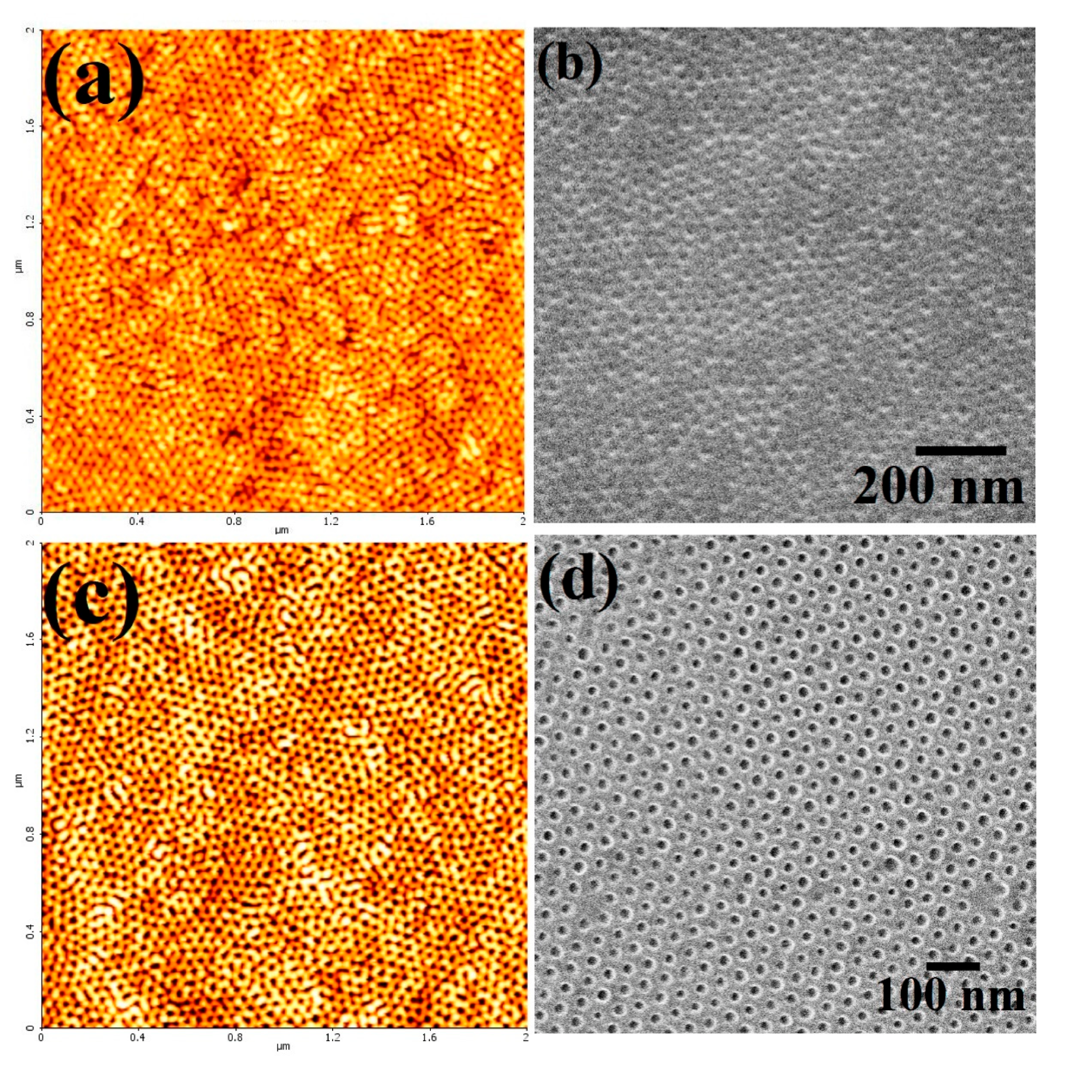 Nanomaterials 12 02223 g005