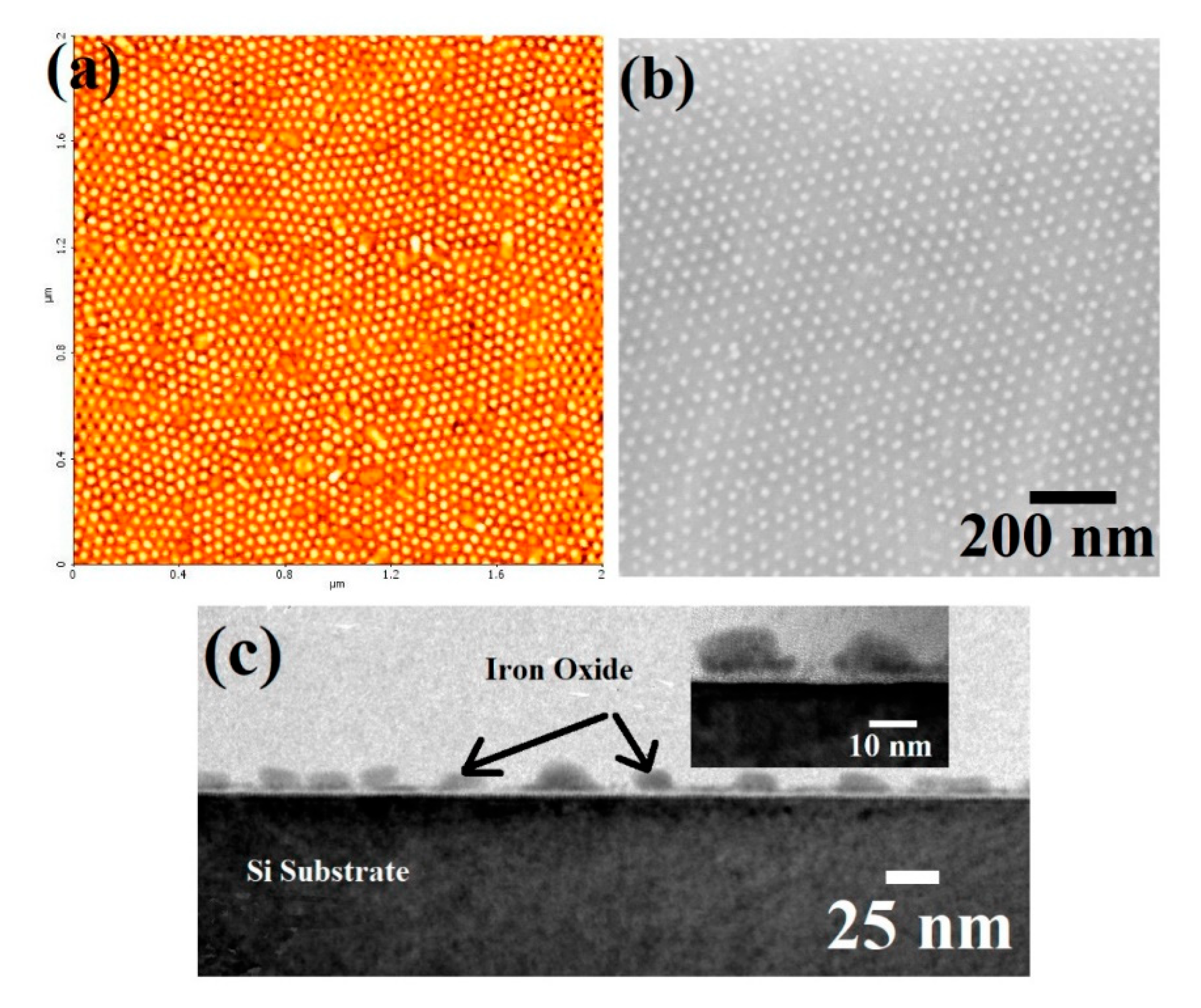 Nanomaterials 12 02223 g006