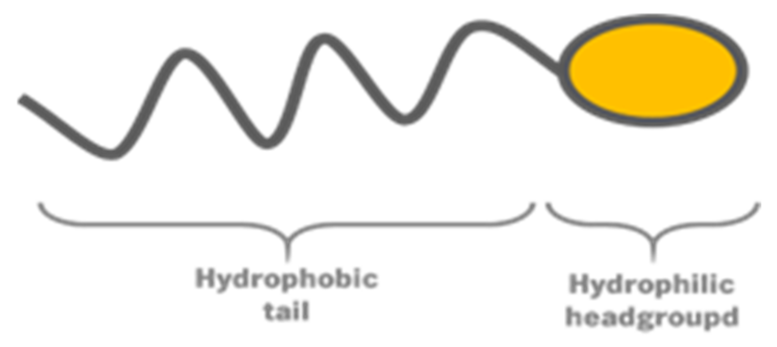 Nanomaterials 12 02224 g001 Nanomaterials 12 02224 g001