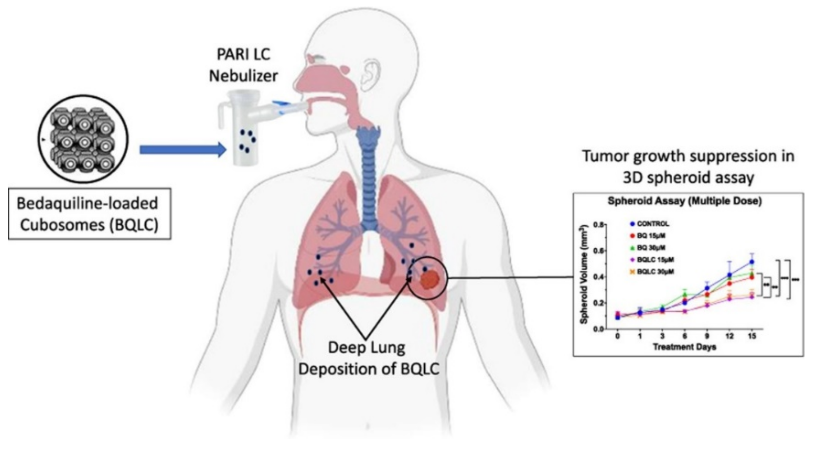 Nanomaterials 12 02224 g009 Nanomaterials 12 02224 g009