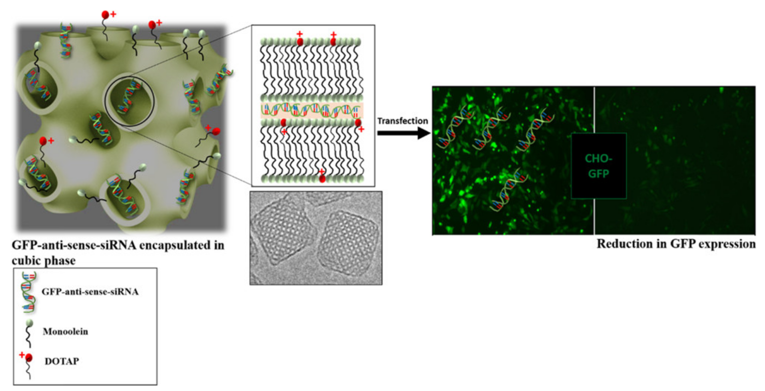 Nanomaterials 12 02224 g010 Nanomaterials 12 02224 g010